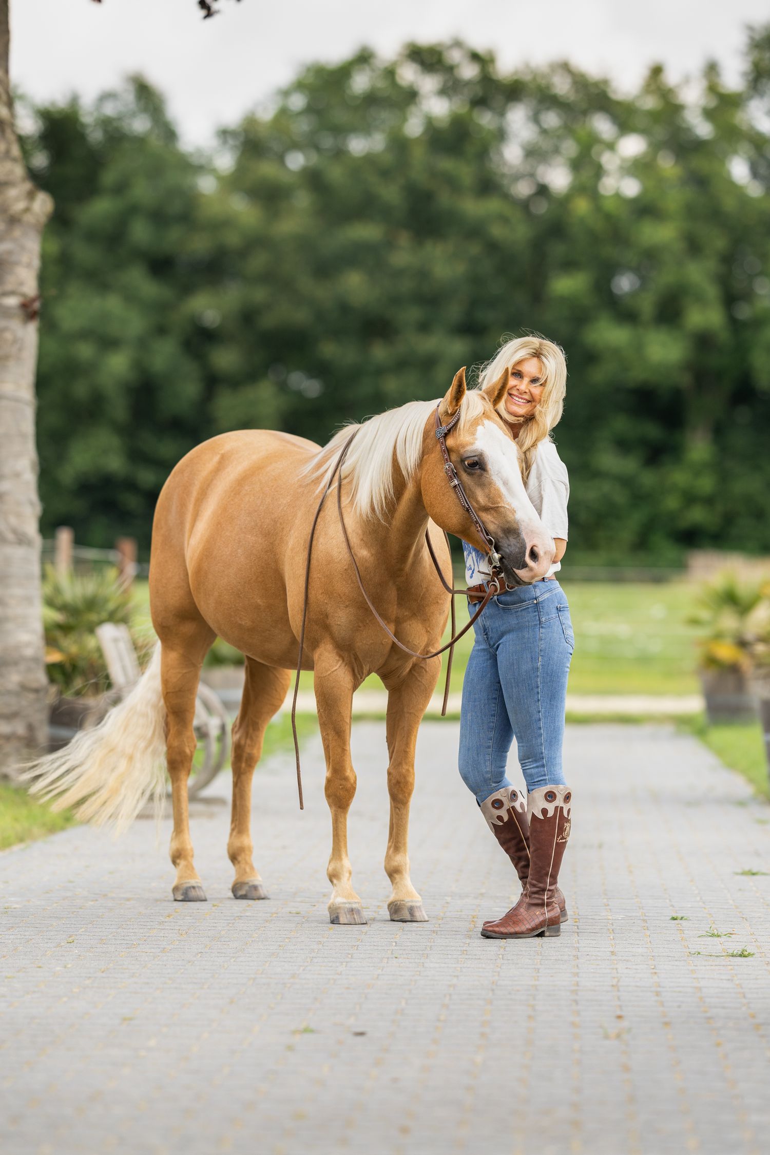 A palomino horse stands on a tree-lined path with decorative planters in the background.