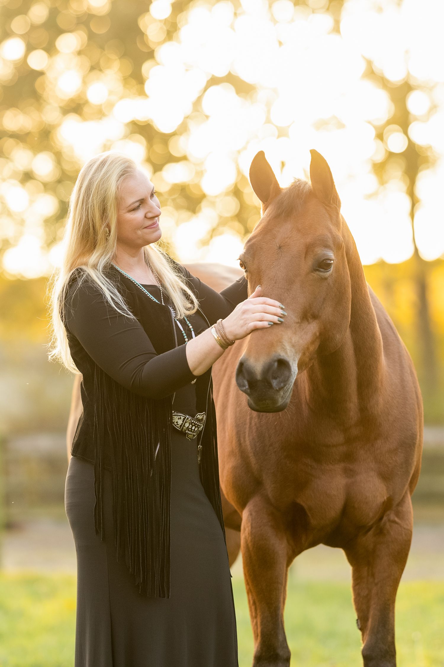 Person in black dress pets brown Quarter horse in field during golden hour.
