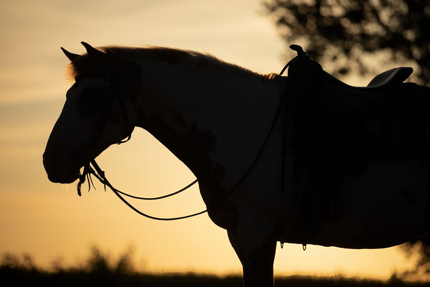 Dramatic silhouette of horse and rider at dusk with warm orange sky.