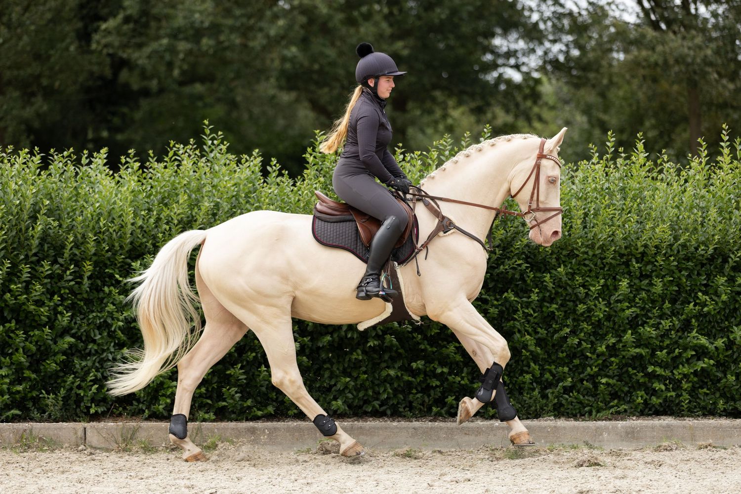 A horse and rider moving swiftly past green hedges in an outdoor riding arena.