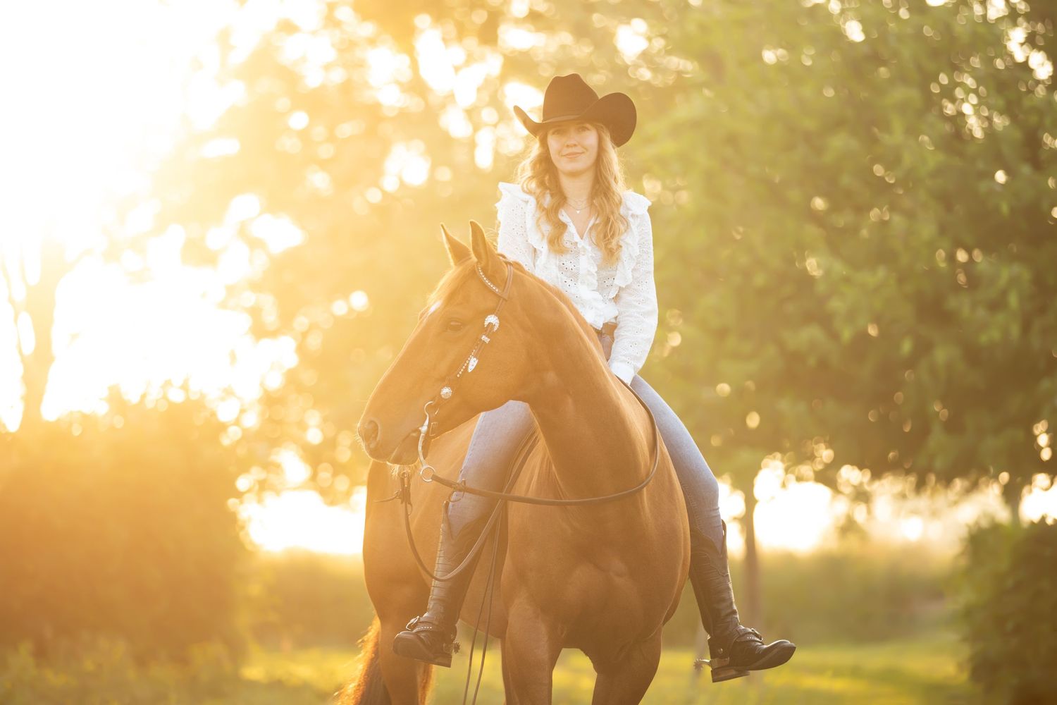 Horse and rider silhouetted against golden sunset in grassy field.