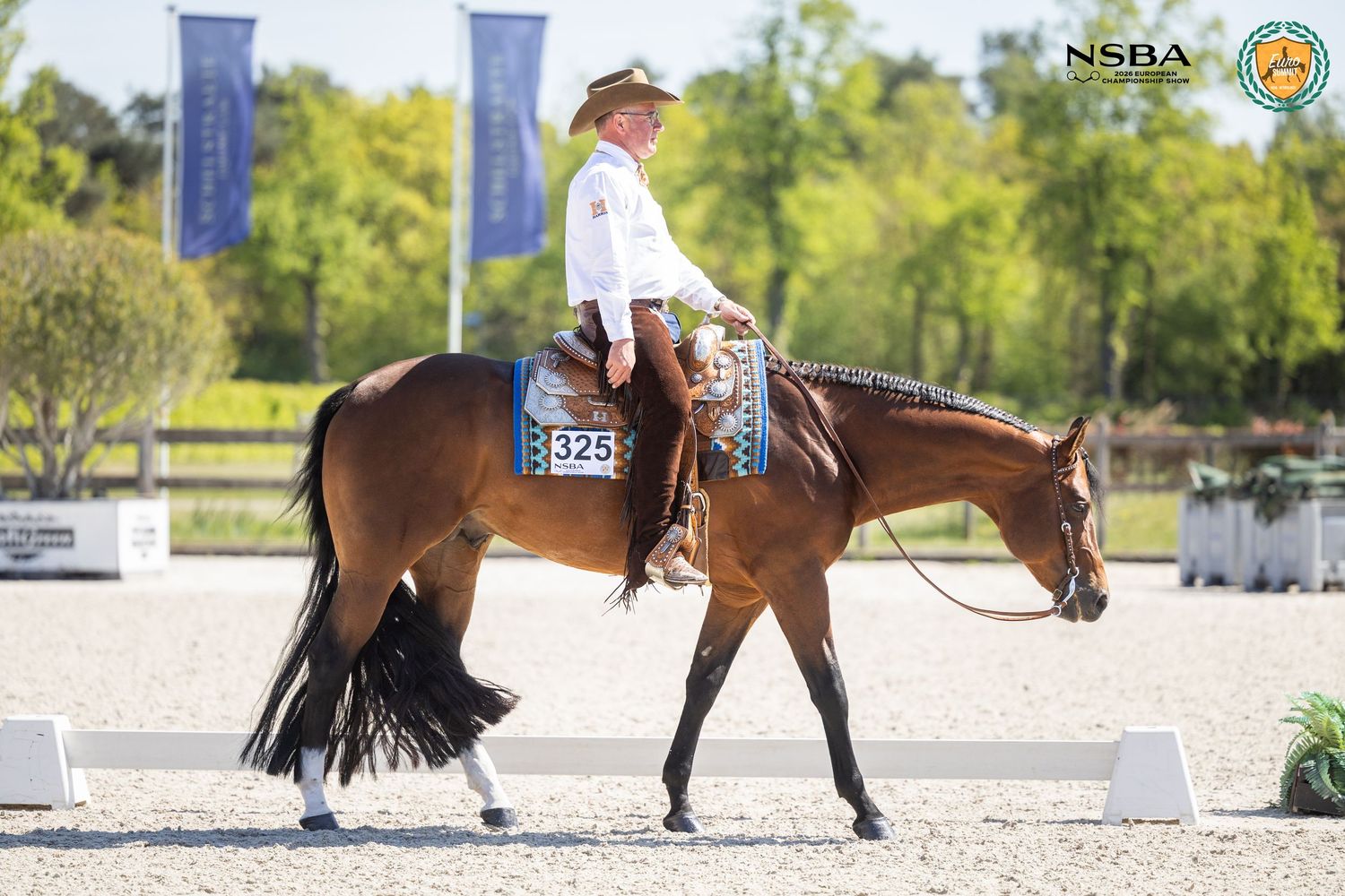 Rider on bay horse competing at NSBA equestrian show, wearing western attire with number 325 in outdoor arena.