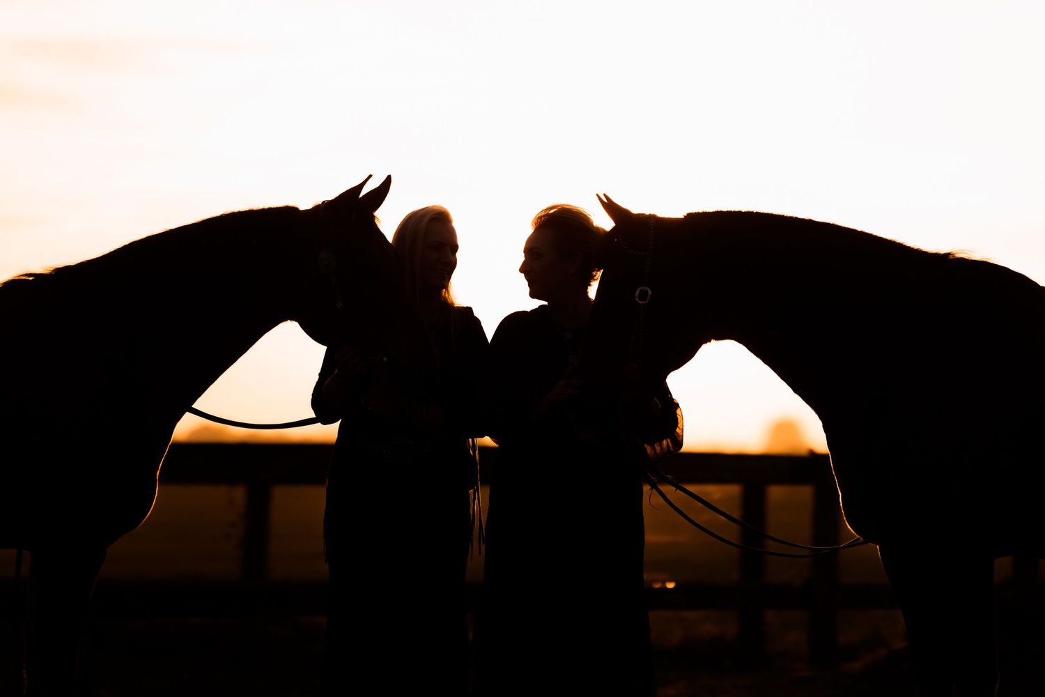 Silhouettes of horses at sunset creating a dramatic panoramic view.