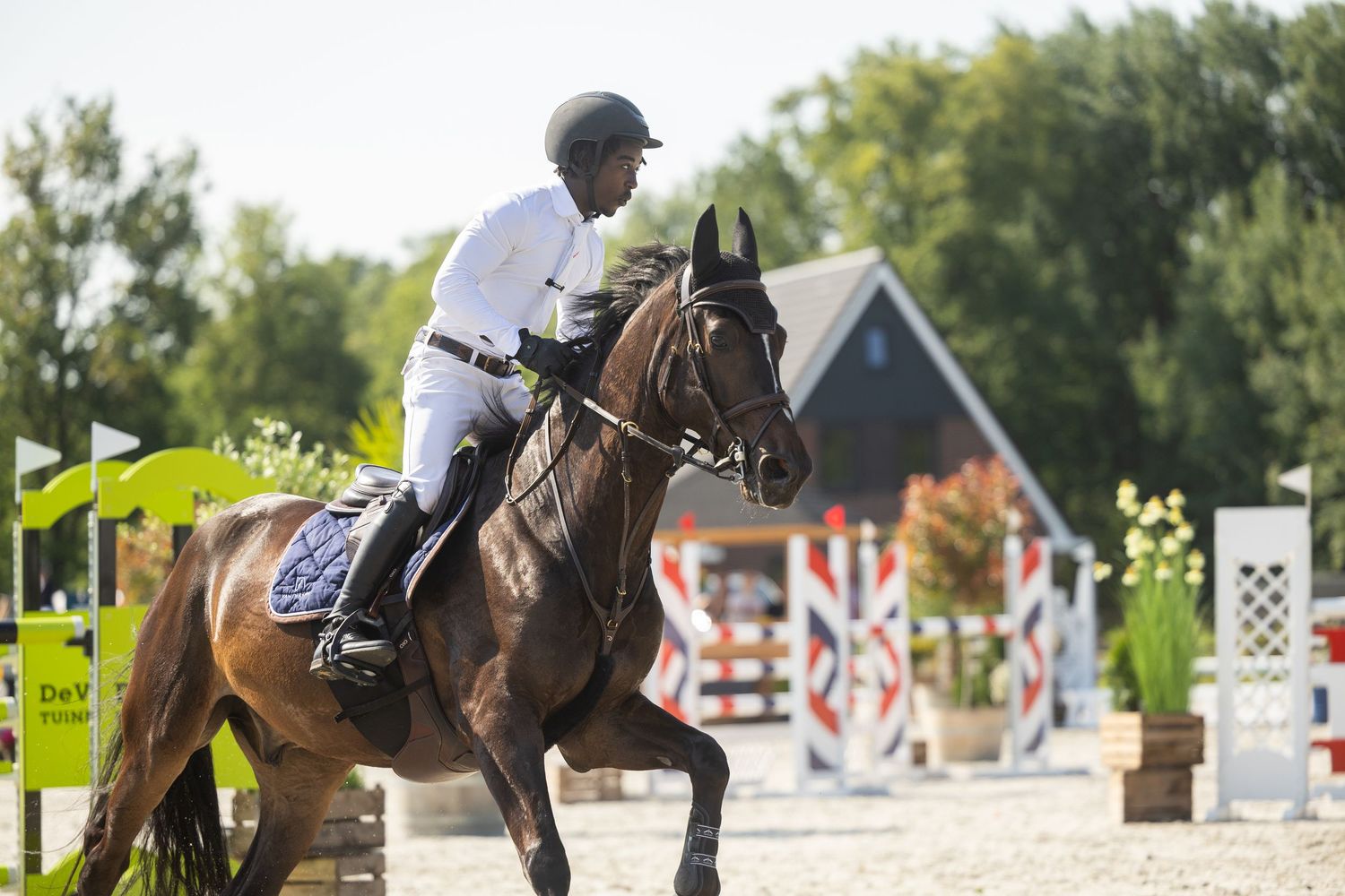 Equestrian rider in white outfit on brown horse at outdoor show jumping competition.