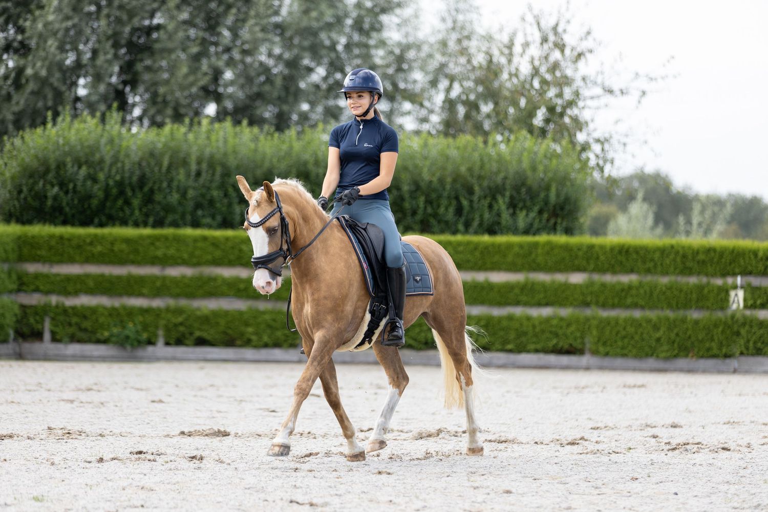Horse and rider training in an outdoor arena surrounded by green landscape.