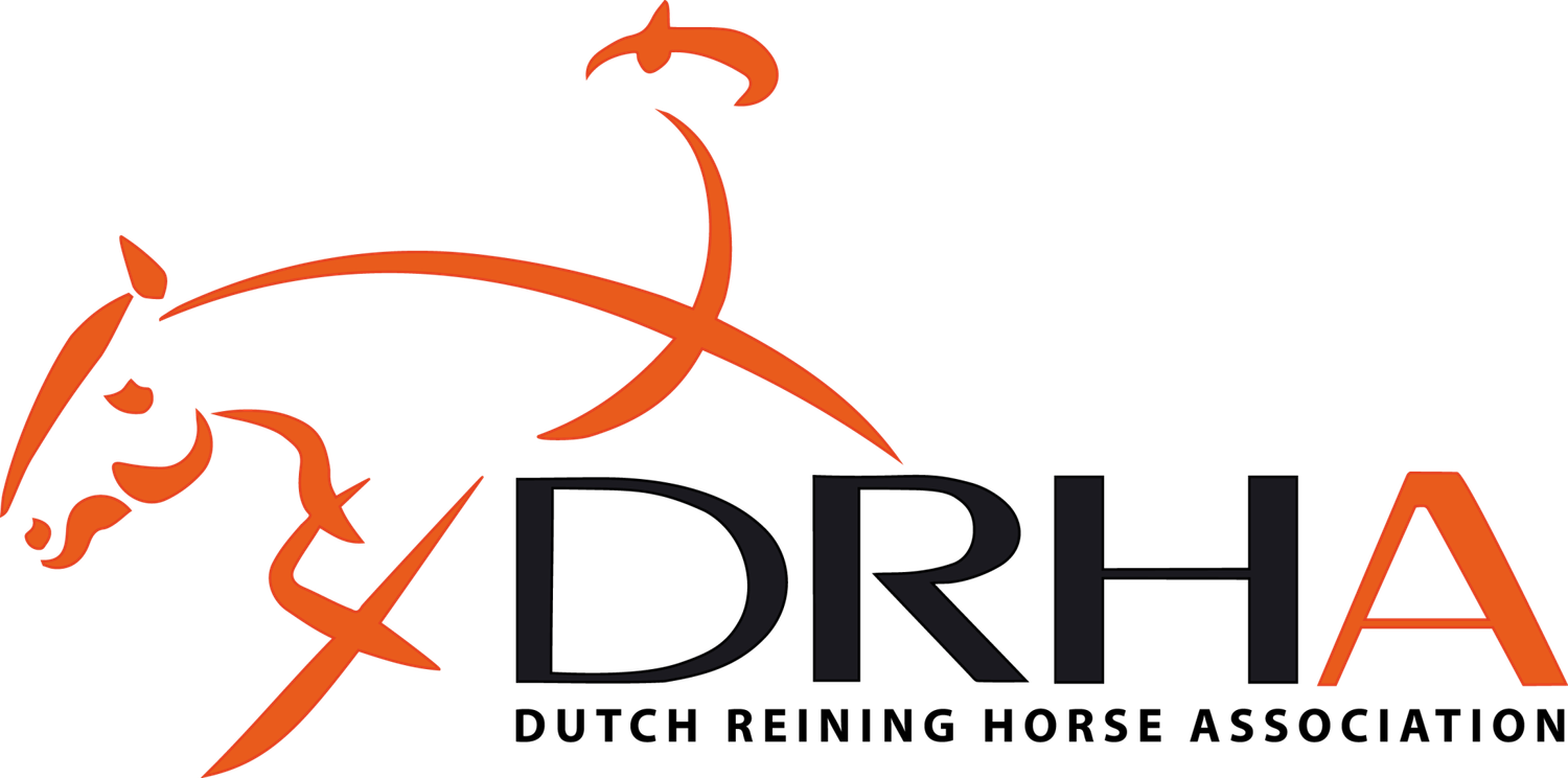 Orange minimalist logo design for Dutch Reining Horse Association featuring stylized running horse.