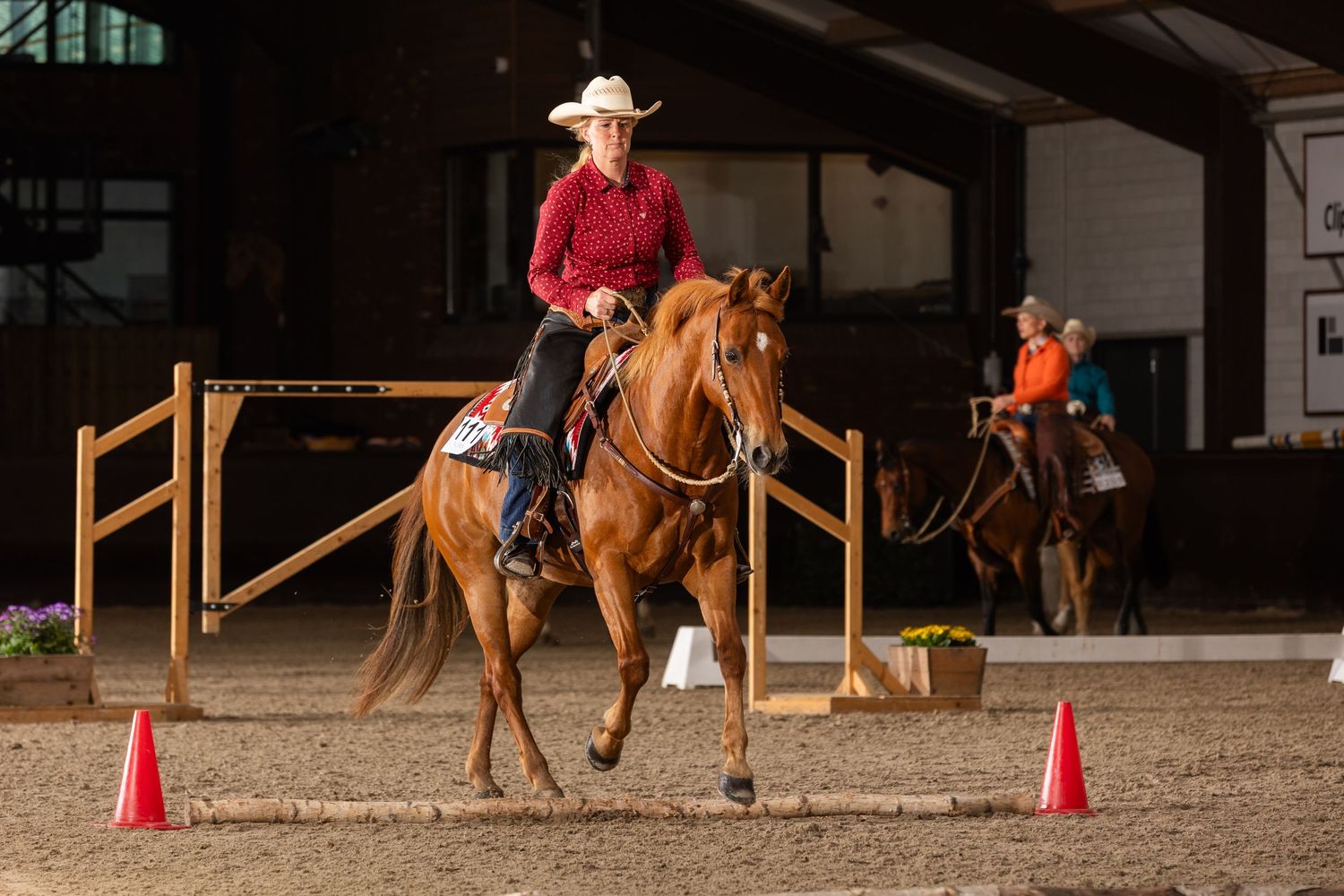 Equestrian training session with multiple riders practicing around orange cones in indoor arena.