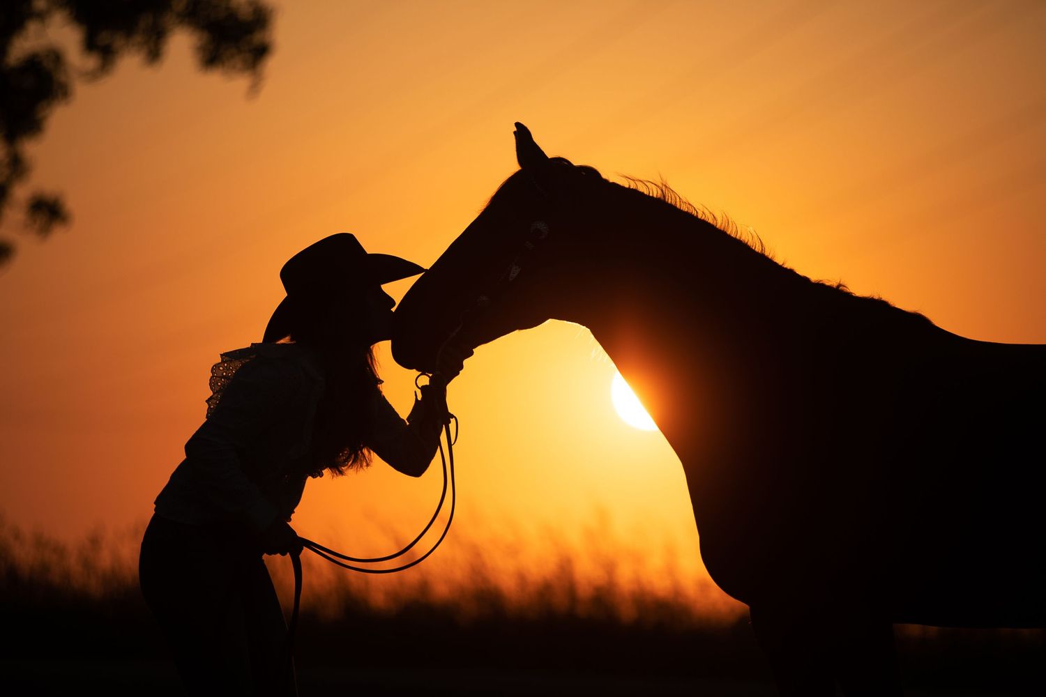 Silhouette of a Quarter horse and rider sharing a tender moment against an orange sunset sky.