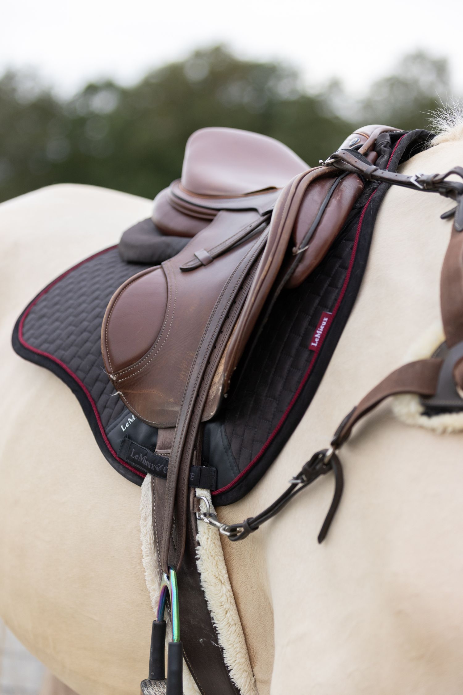 Brown leather saddle with black padding mounted on a light-colored horse.