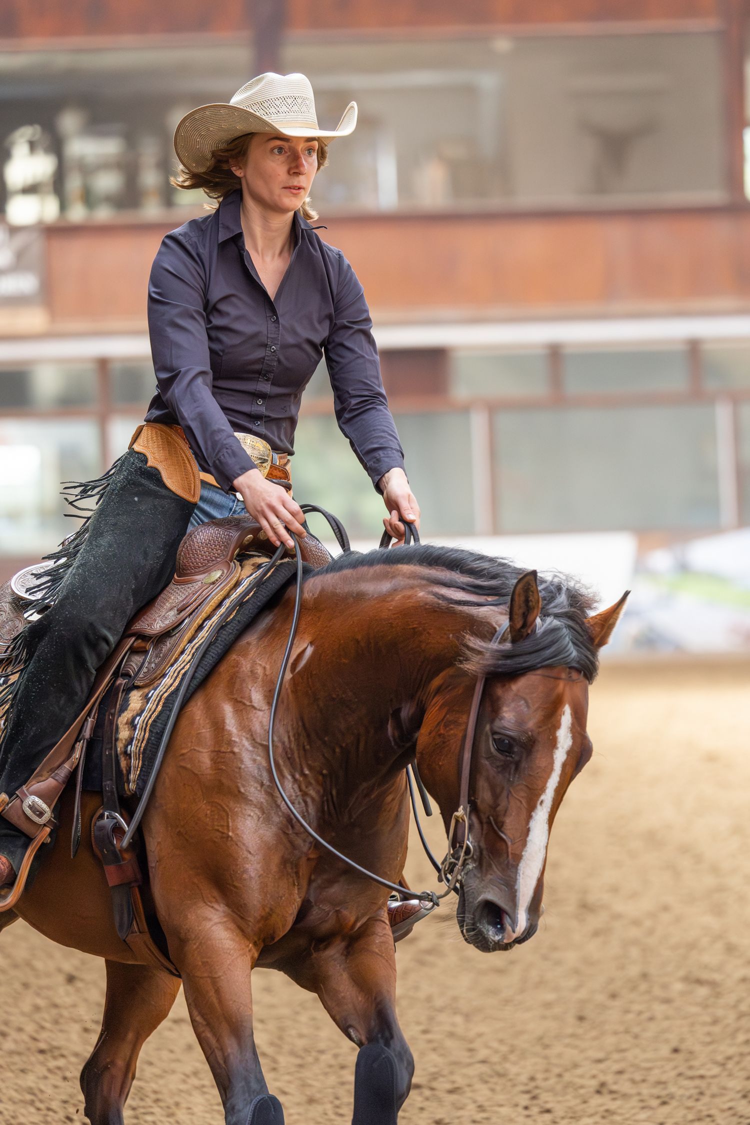 Equestrian rider in navy jacket guiding bay horse through western riding pattern in indoor arena.