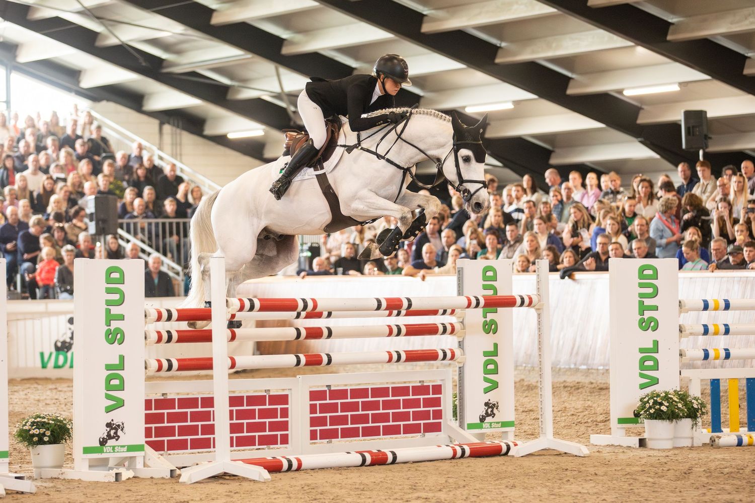 A rider on a white horse leaps over a red and white striped show jumping obstacle in a crowded indoor arena.