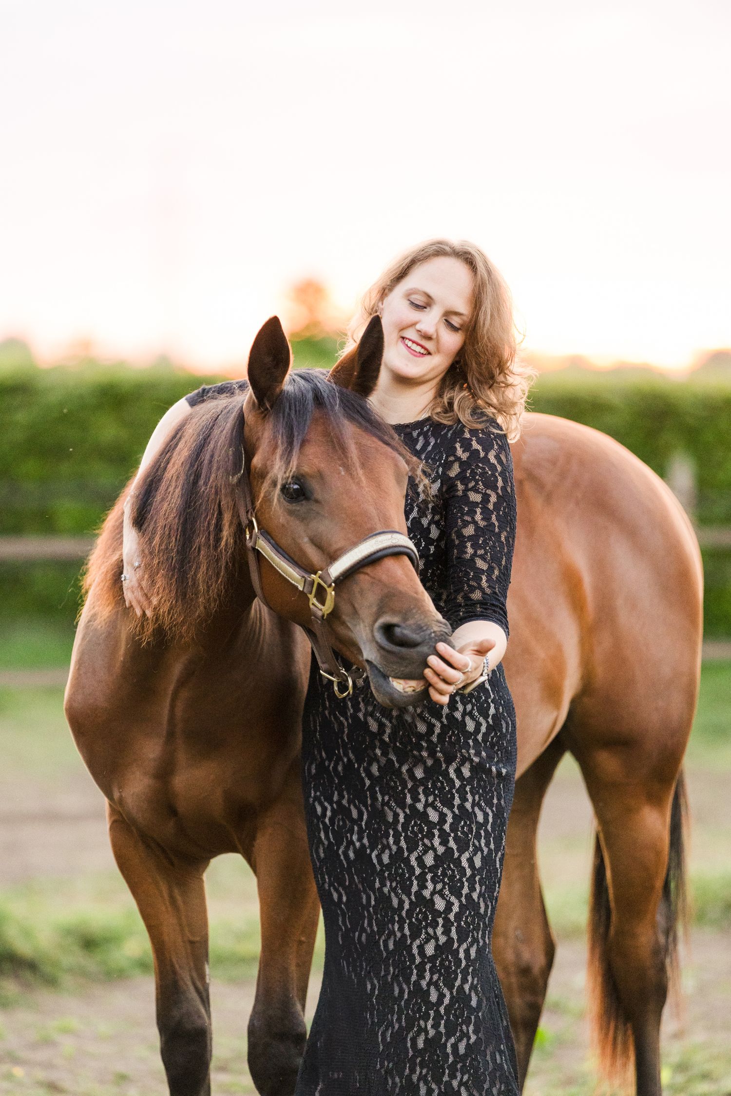 A spotted brown horse stands with someone wearing a black lace dress in a field at sunset.