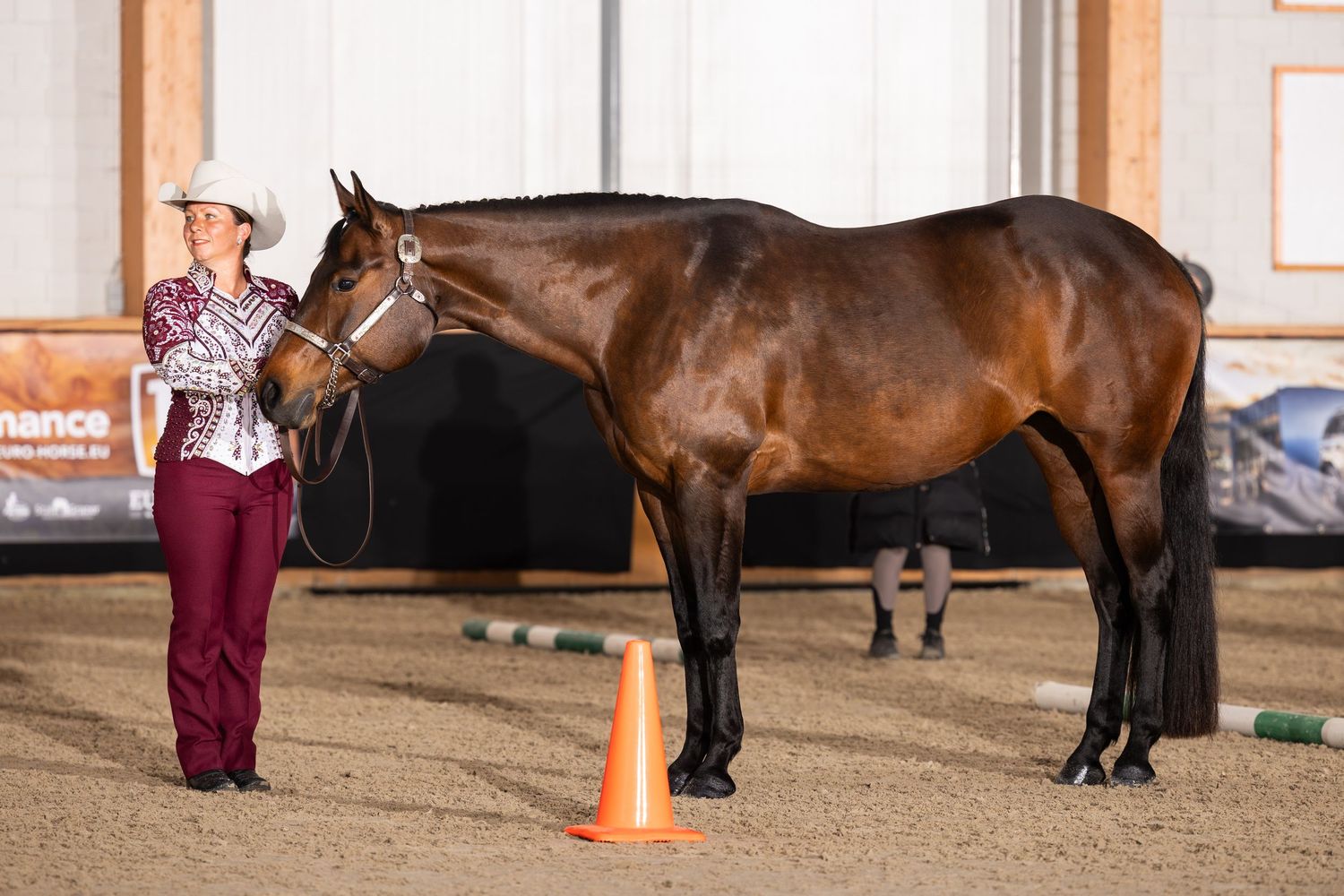 Brown horse being led through an indoor equestrian arena during a training session.