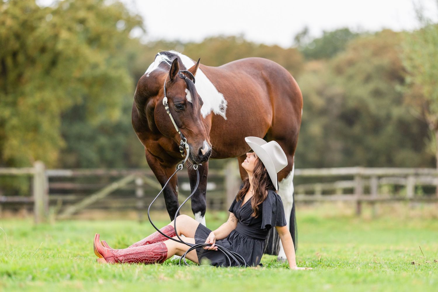 Horse with white markings being led across grassy field on sunny autumn day.