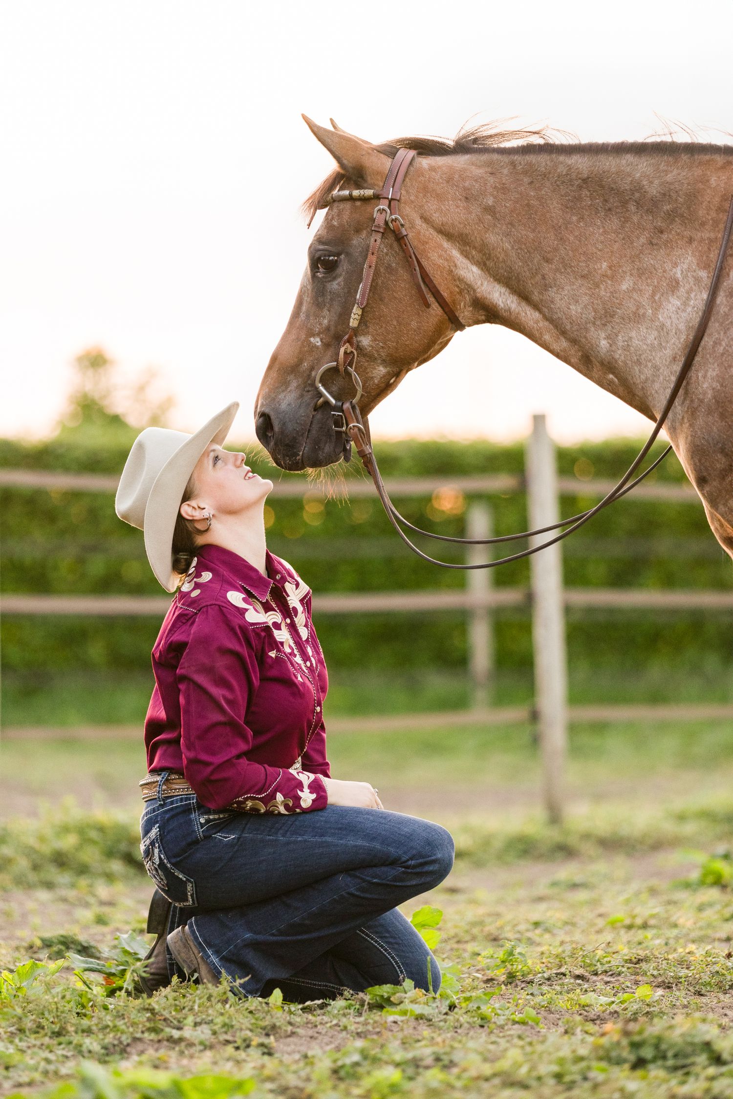 A spotted horse interacts with someone wearing western clothing in a fenced field.