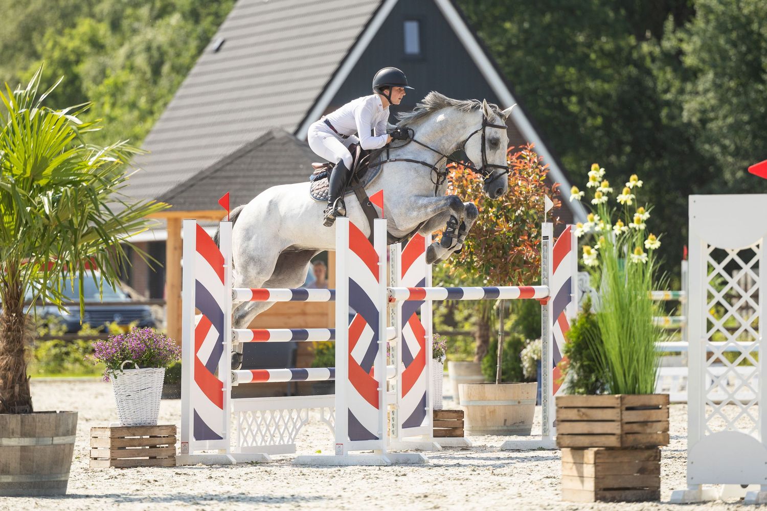 Equestrian rider on white horse jumping colorful show jumping fence at outdoor competition.