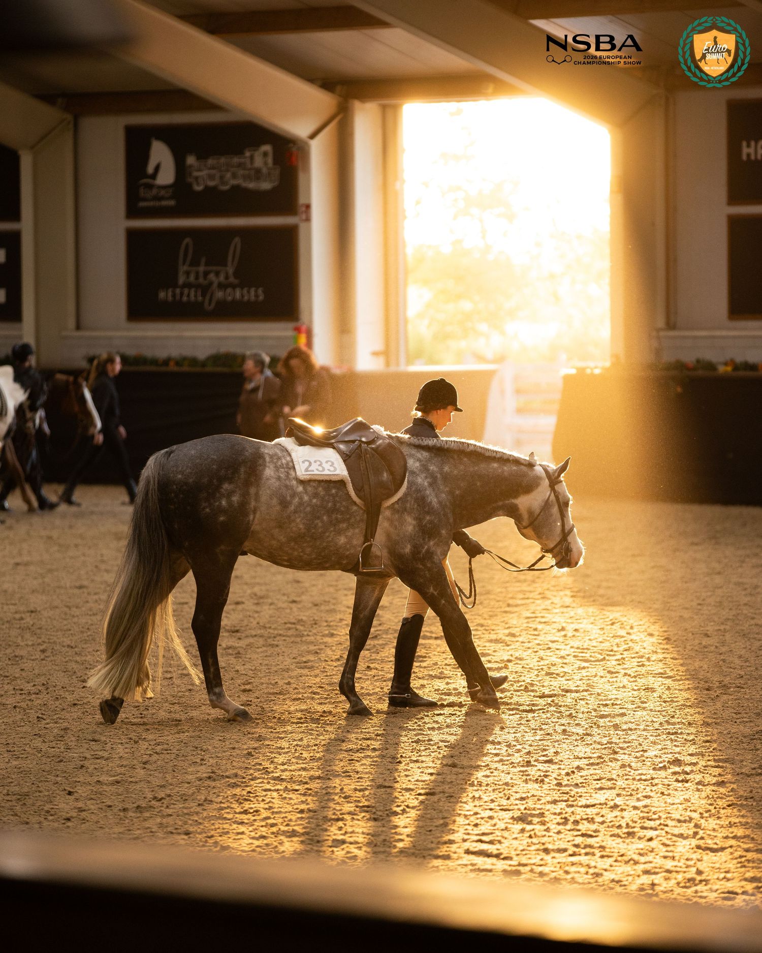A rider leads a dapple gray horse through a sunlit equestrian arena at an NSBA horse show competition.