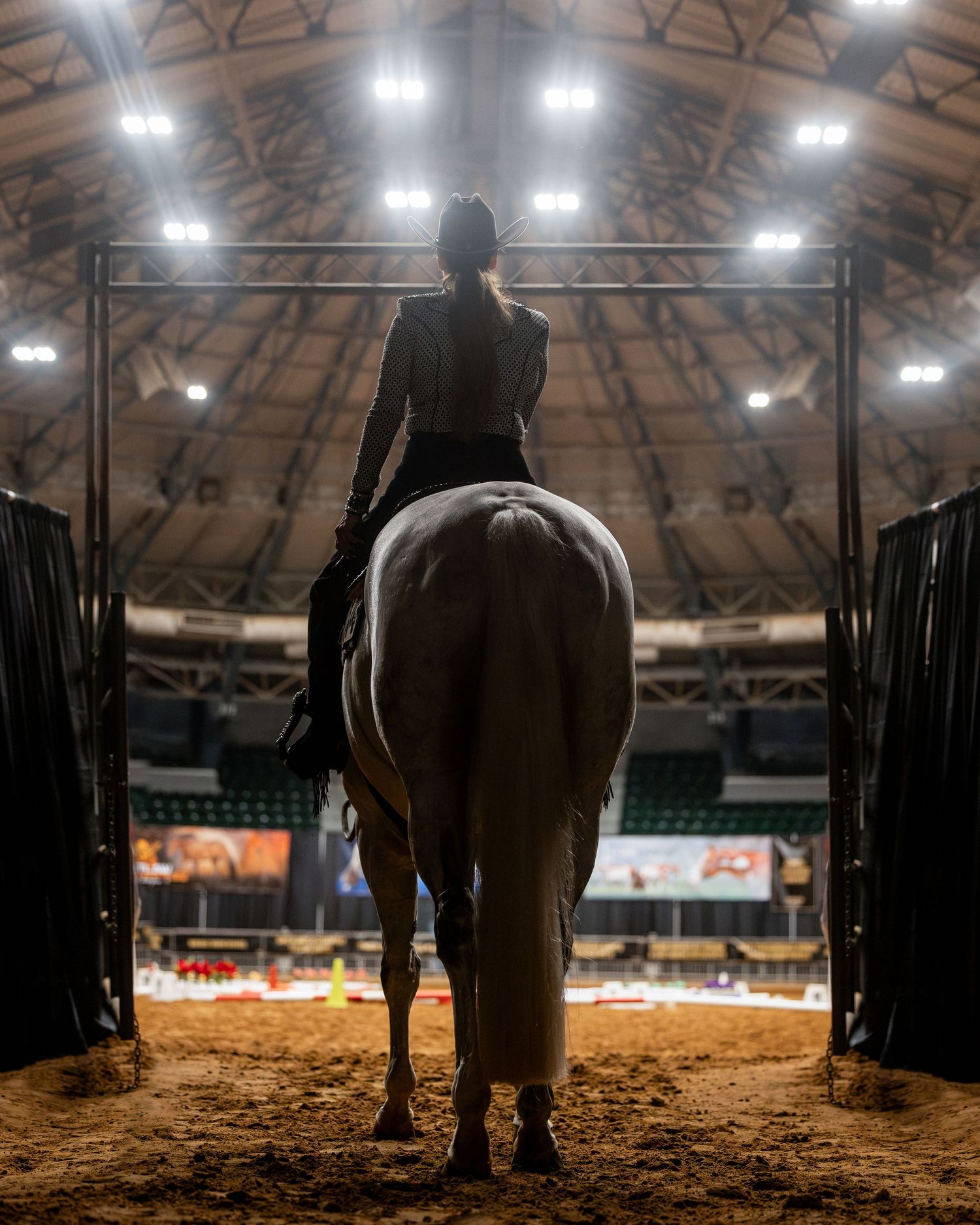 Equestrian rider on white horse entering lit indoor arena from behind, dramatic lighting in competition venue.