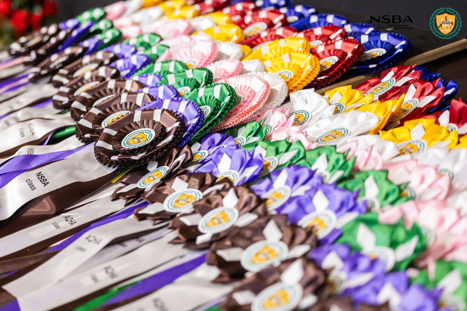 Colorful NSBA award ribbons and medals displayed in rows at a horse show competition.