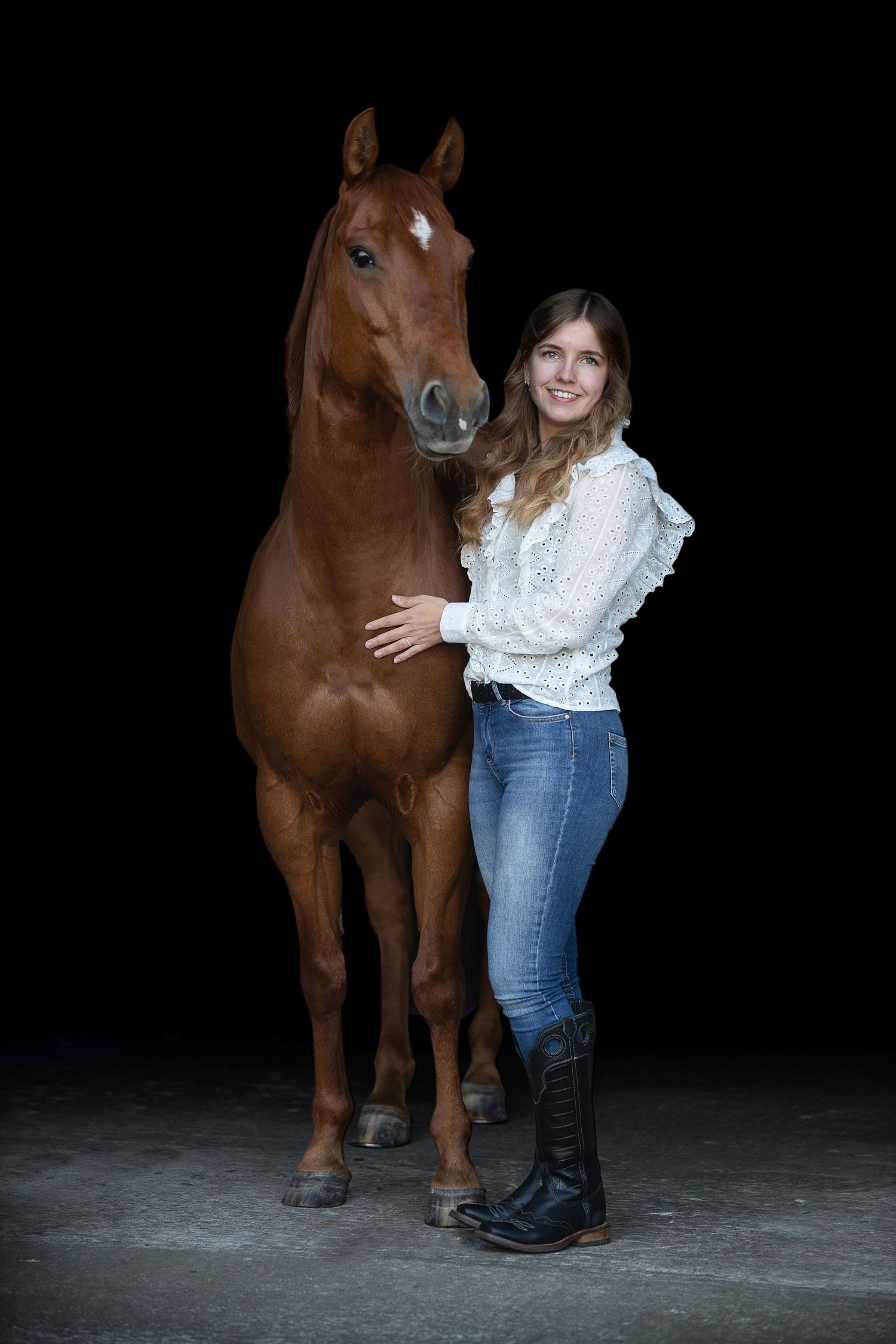Chestnut horse stands with companion in studio against black backdrop.