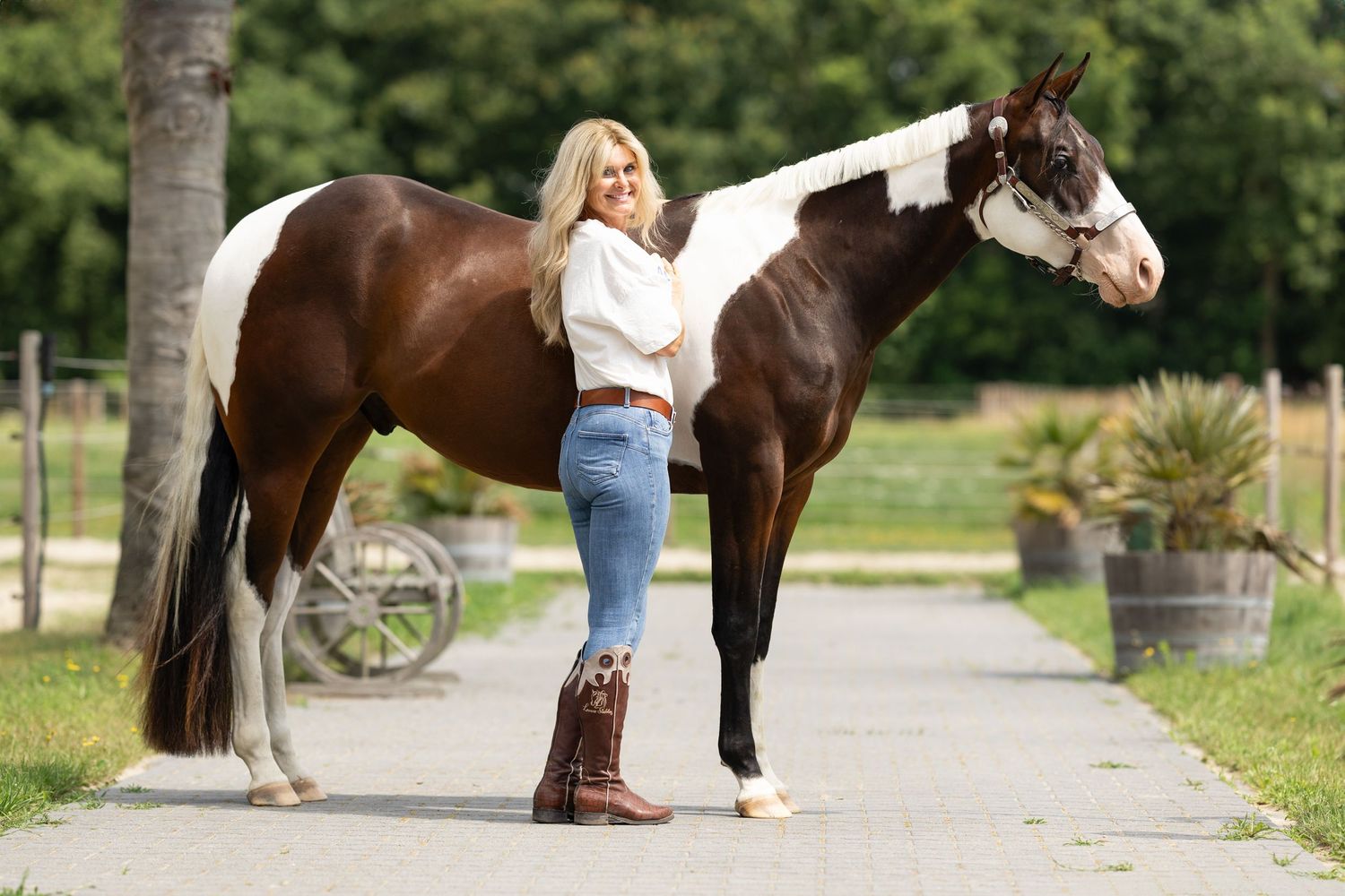 A paint horse stands on a path with trees and landscaping in the background.