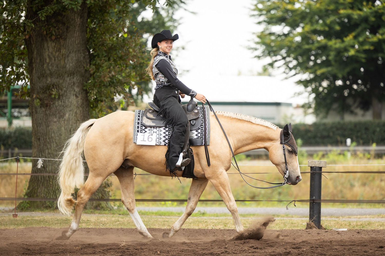 Horse and rider training in outdoor arena with green trees in background.