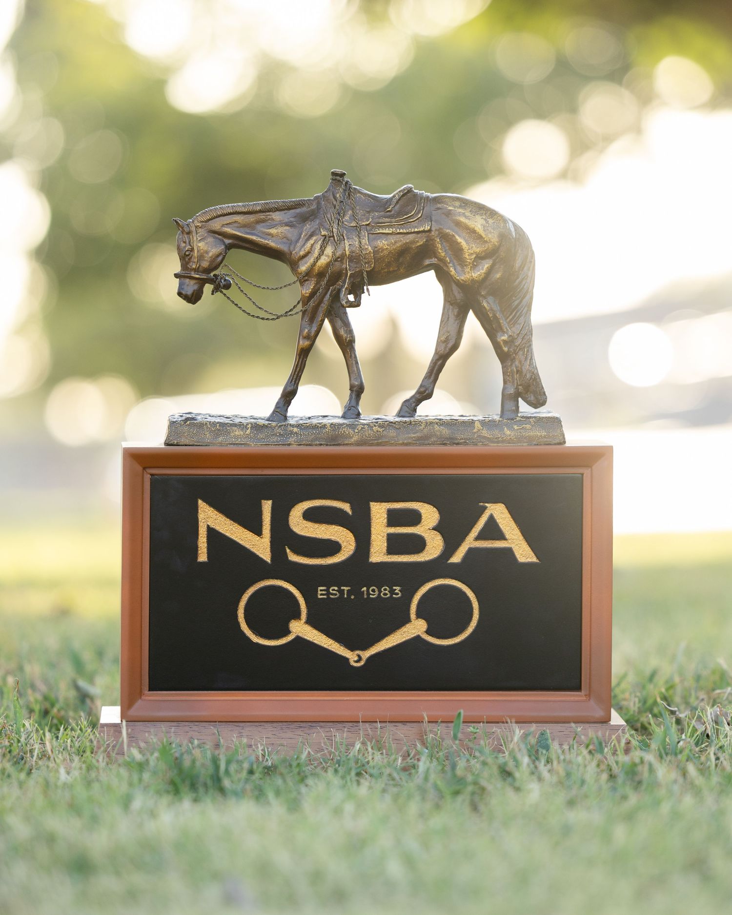 NSBA Est. 1983 bronze horse trophy on wooden base with snaffle bit logo, displayed outdoors on green grass.