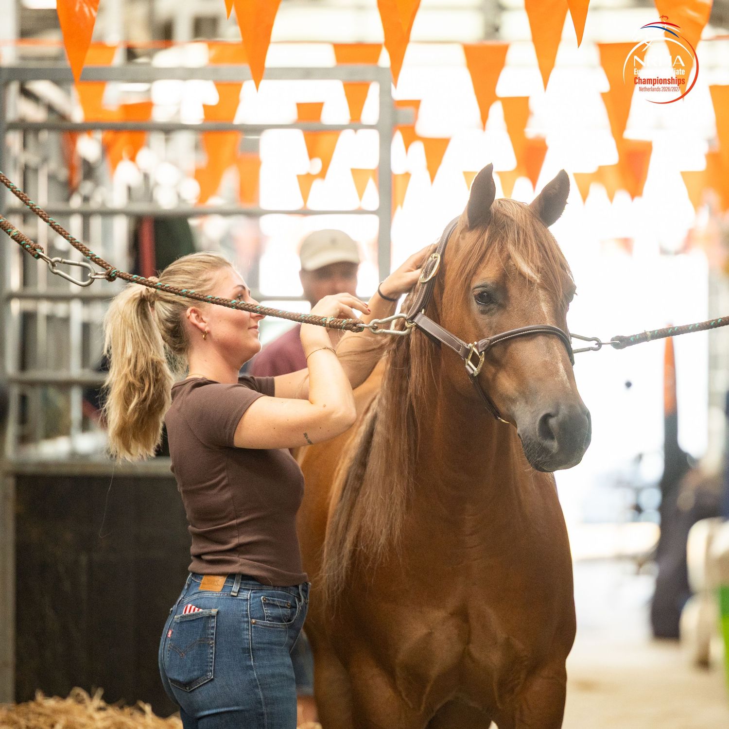 A woman in jeans grooms a chestnut horse indoors under orange triangle bunting flags at an equestrian event.