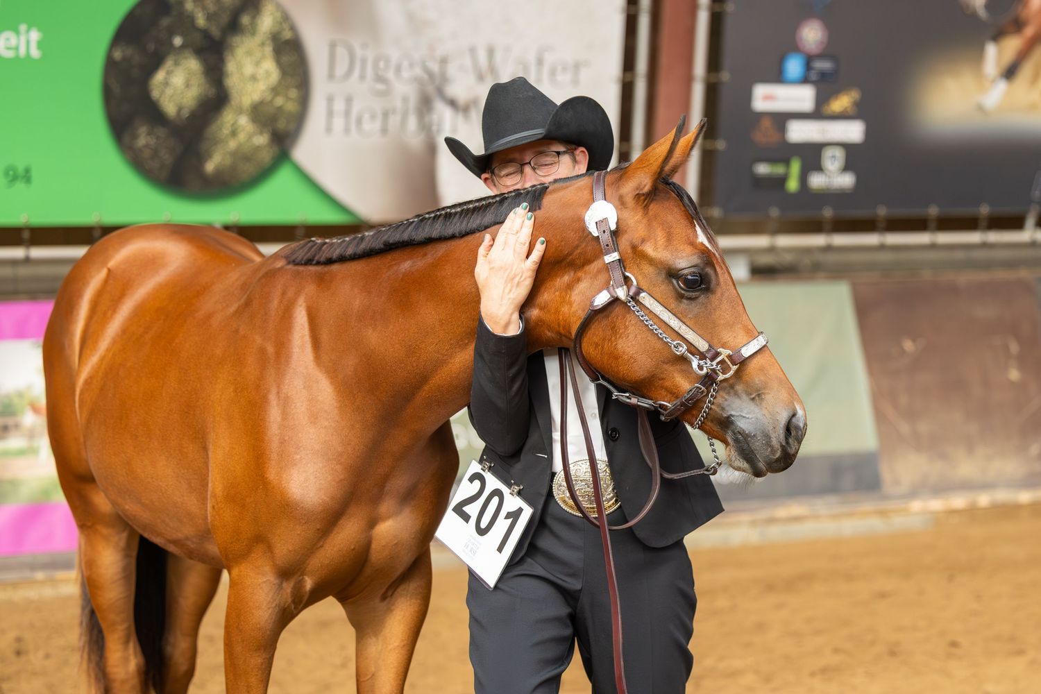 A chestnut horse with western tack being shown in a competition arena.