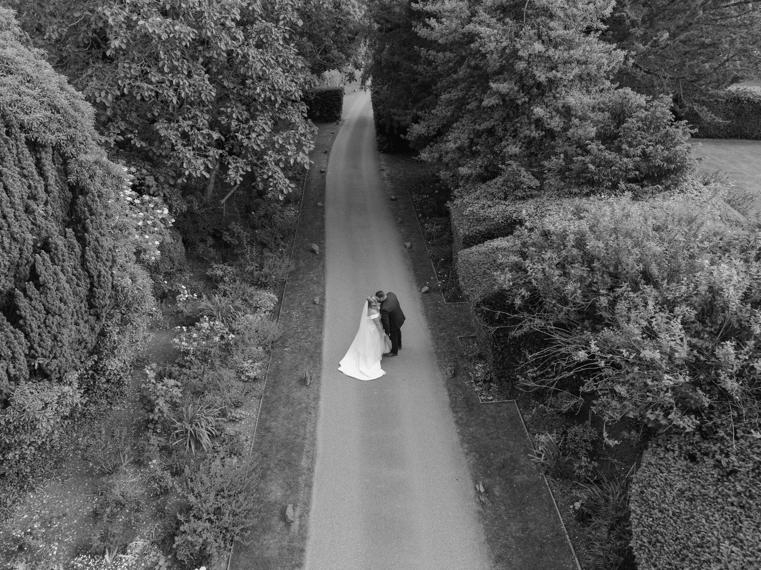 Black and white aerial photo of bride and groom kissing on a tree-lined driveway. Nursted Court