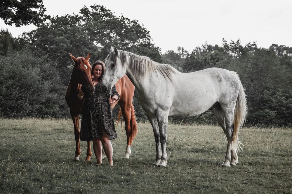 Woman standing between two horses, a brown and white, in a lush green countryside field.