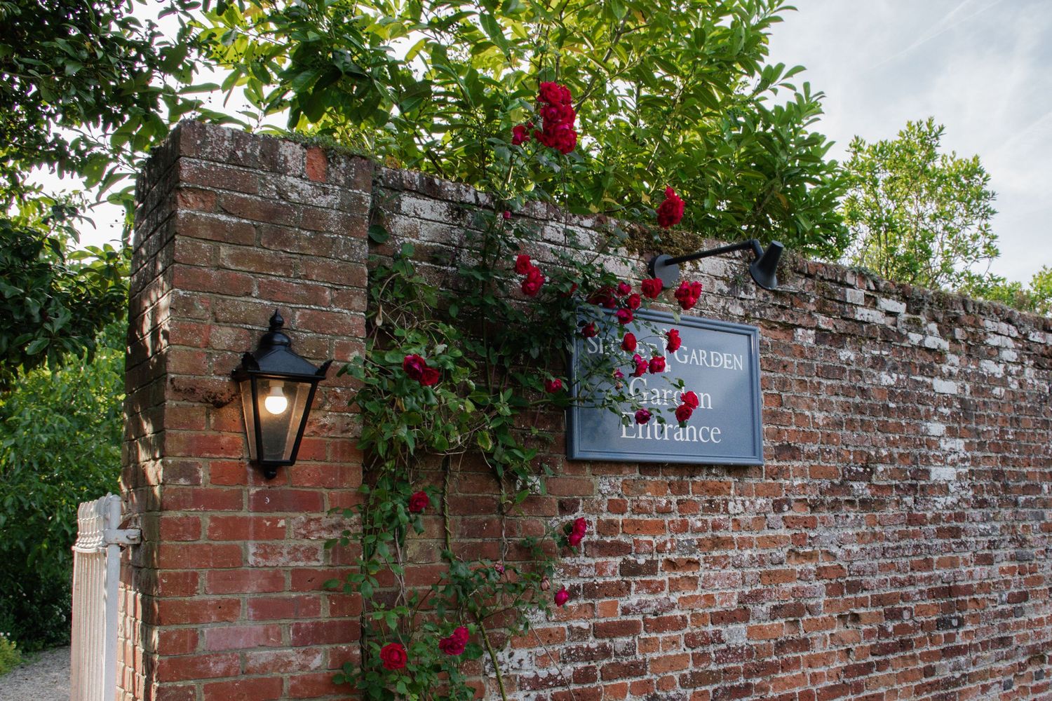 Red climbing roses on old brick wall with vintage lantern and venue sign.