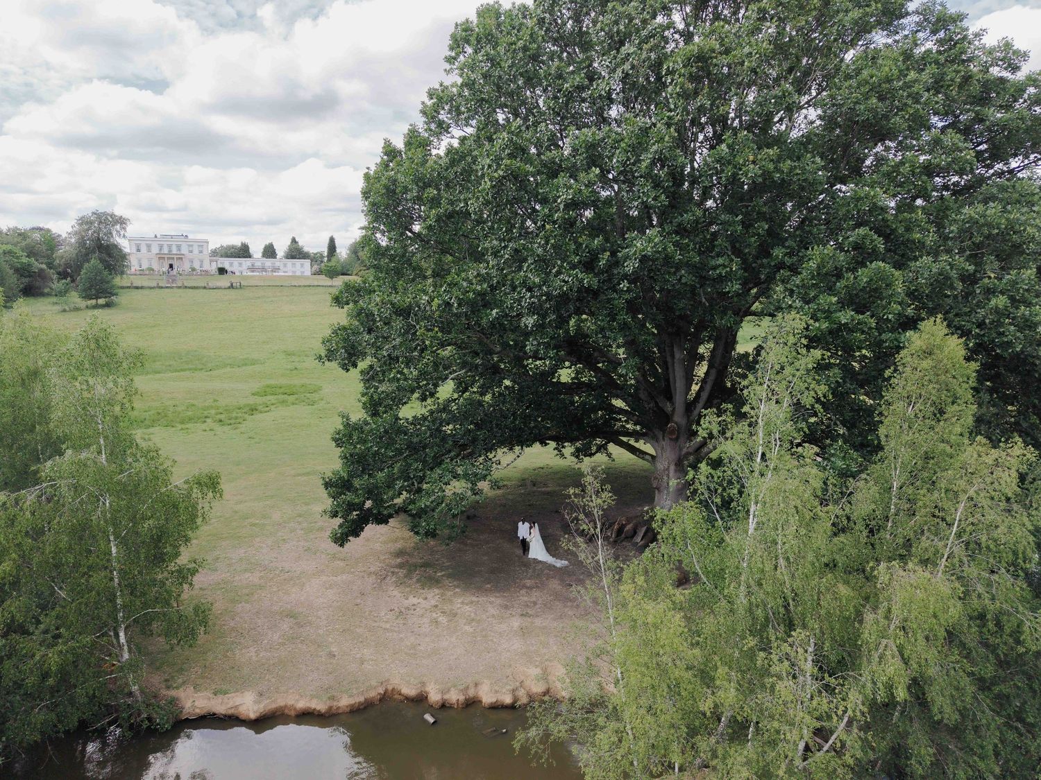 Aerial drone shot of bride and groom standing beneath a large tree beside a tranquil lake. Buxted Park Hotel