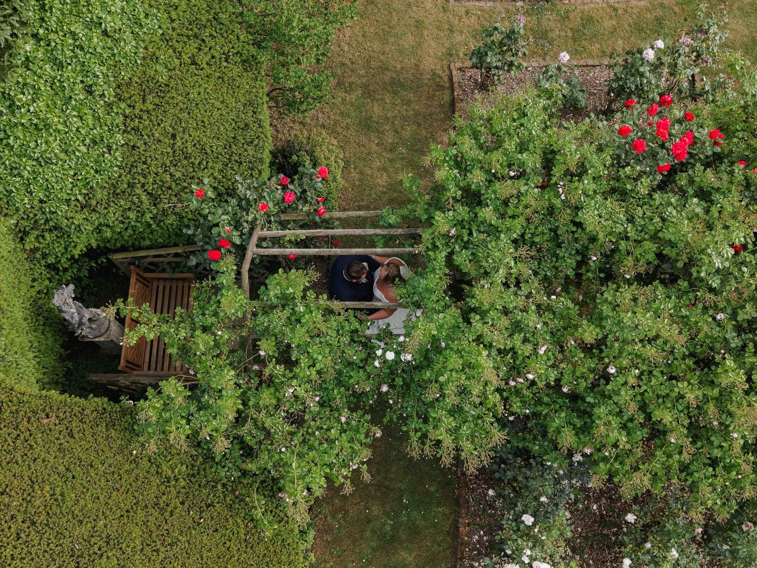 Aerial view of a lush garden with red roses, green hedges, and a wooden bench nestled among trees. Nursted Court