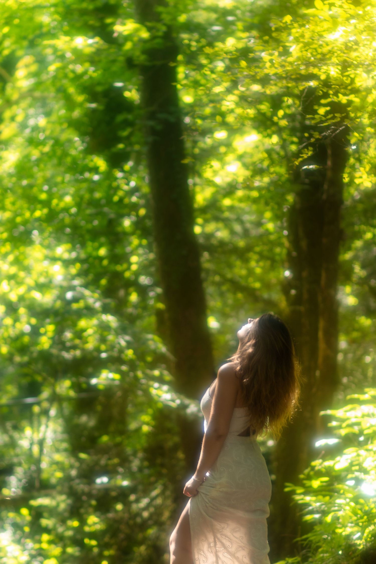aliena photographie