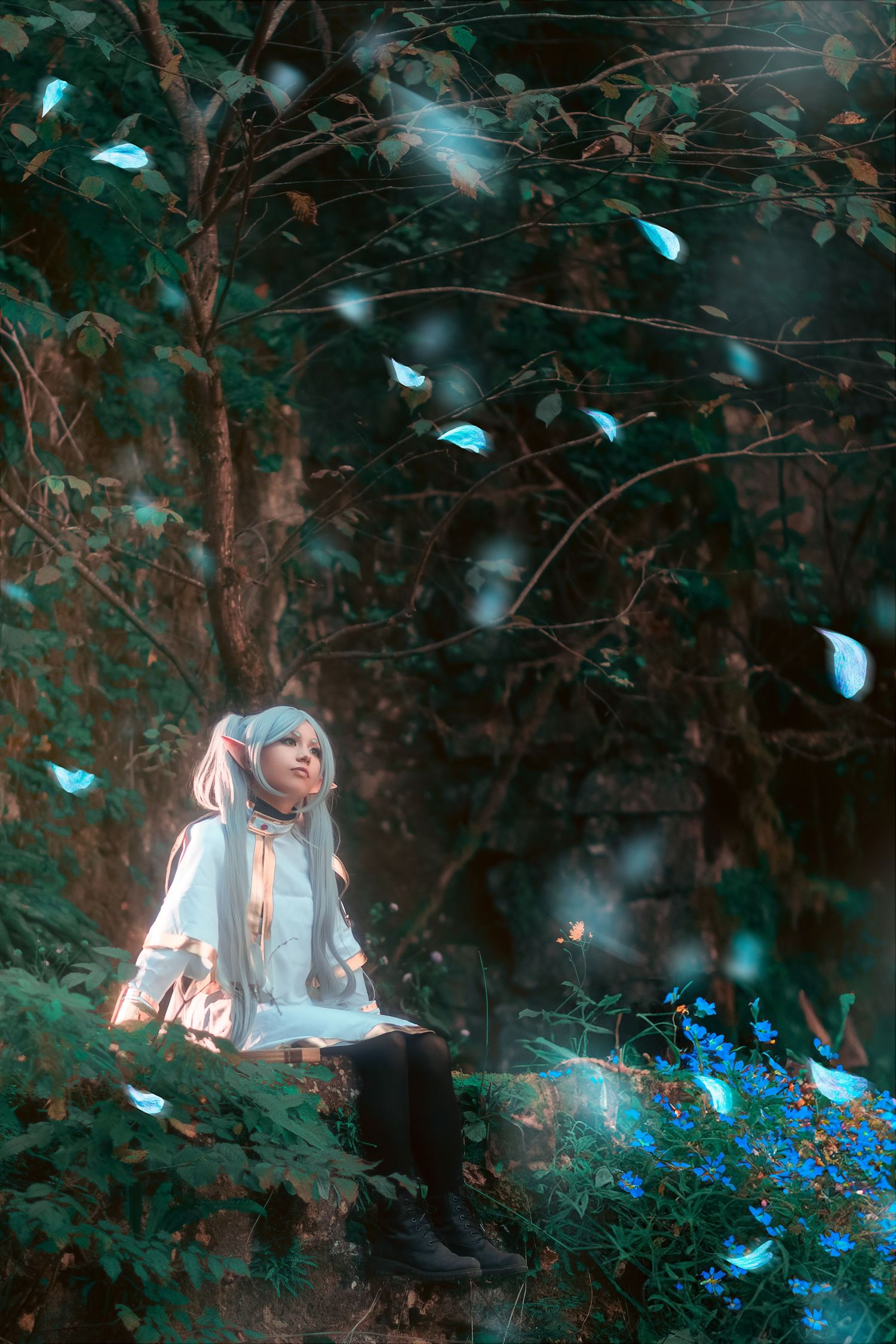 aliena photographie
