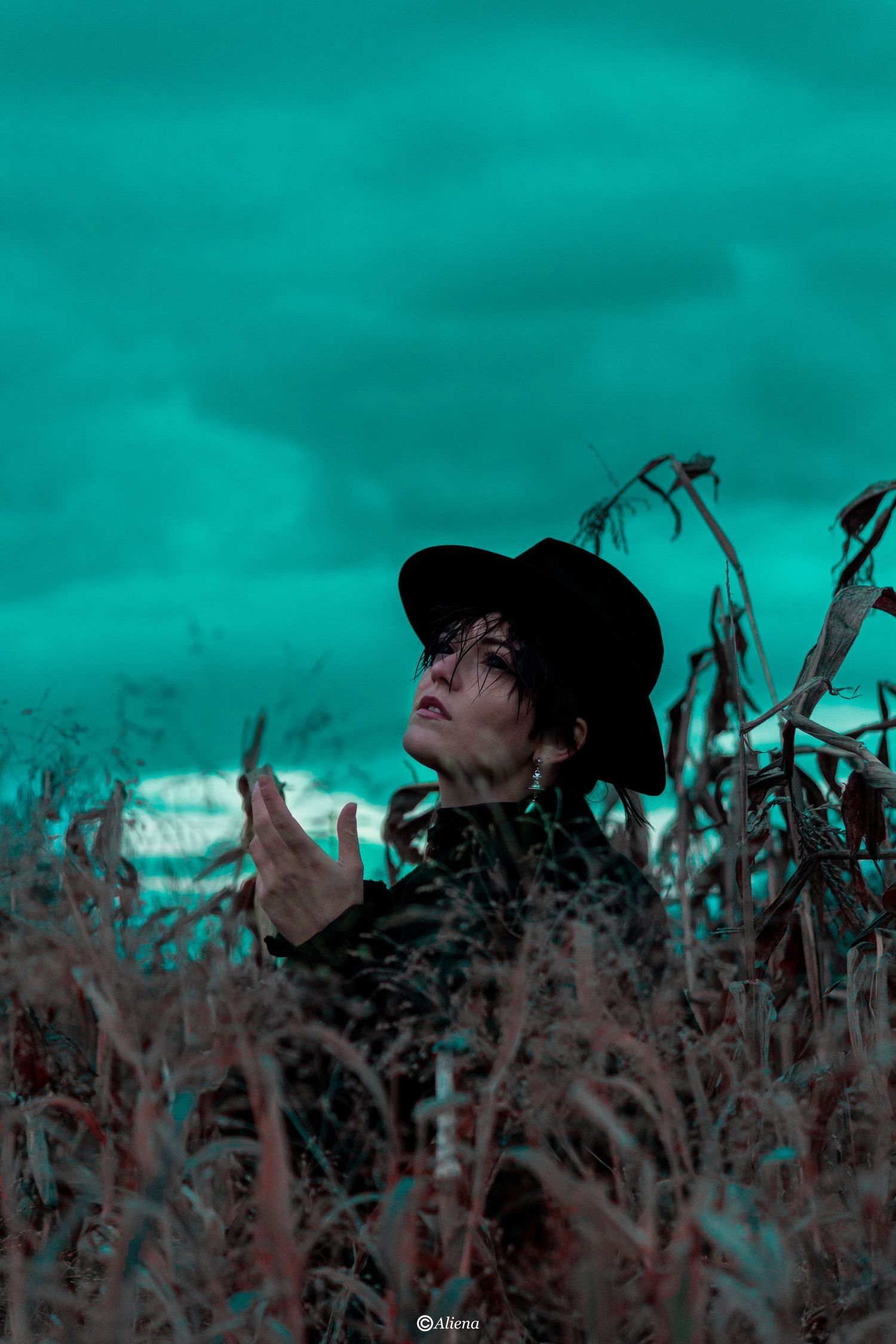 aliena photographie