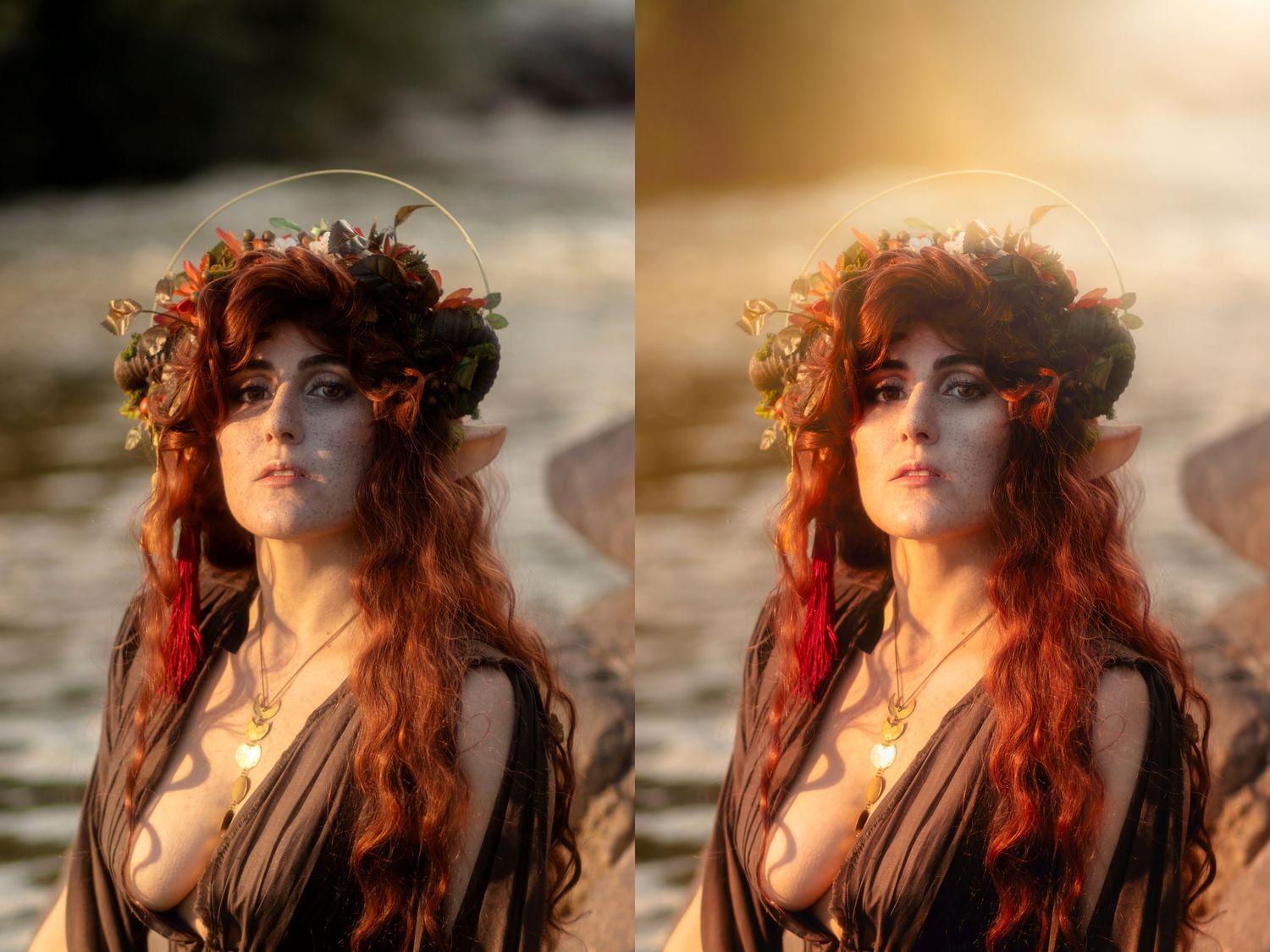 aliena photographie