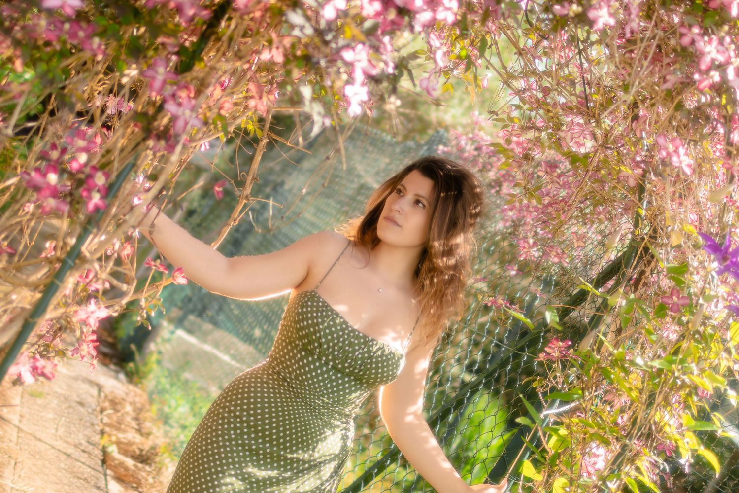 aliena photographie