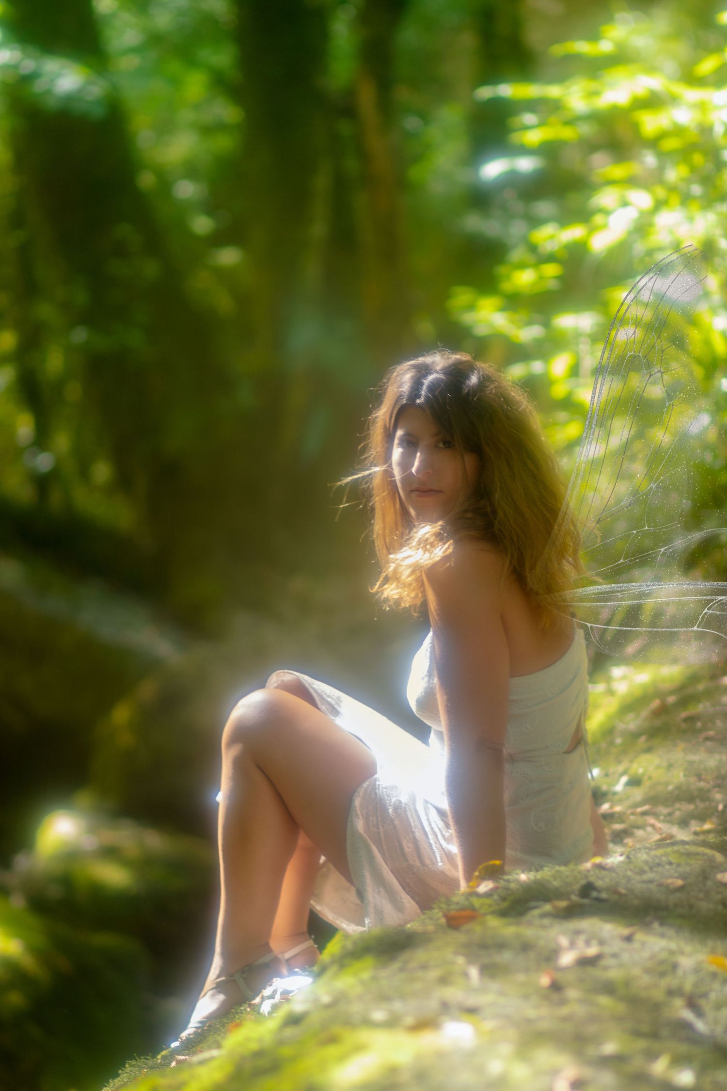 aliena photographie