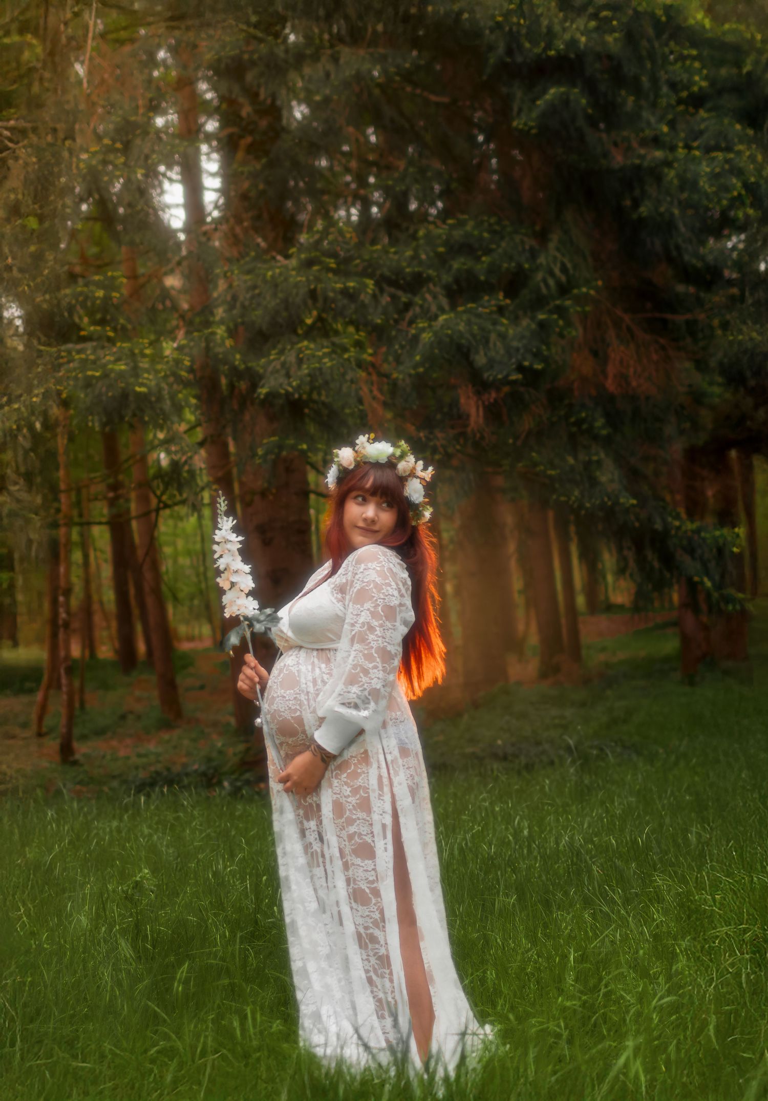 aliena photographie