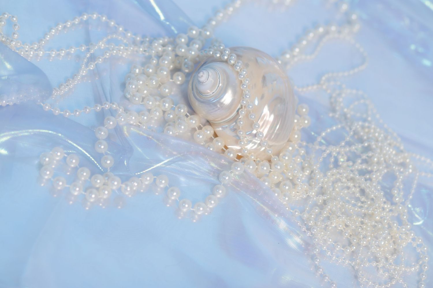 aliena photographie