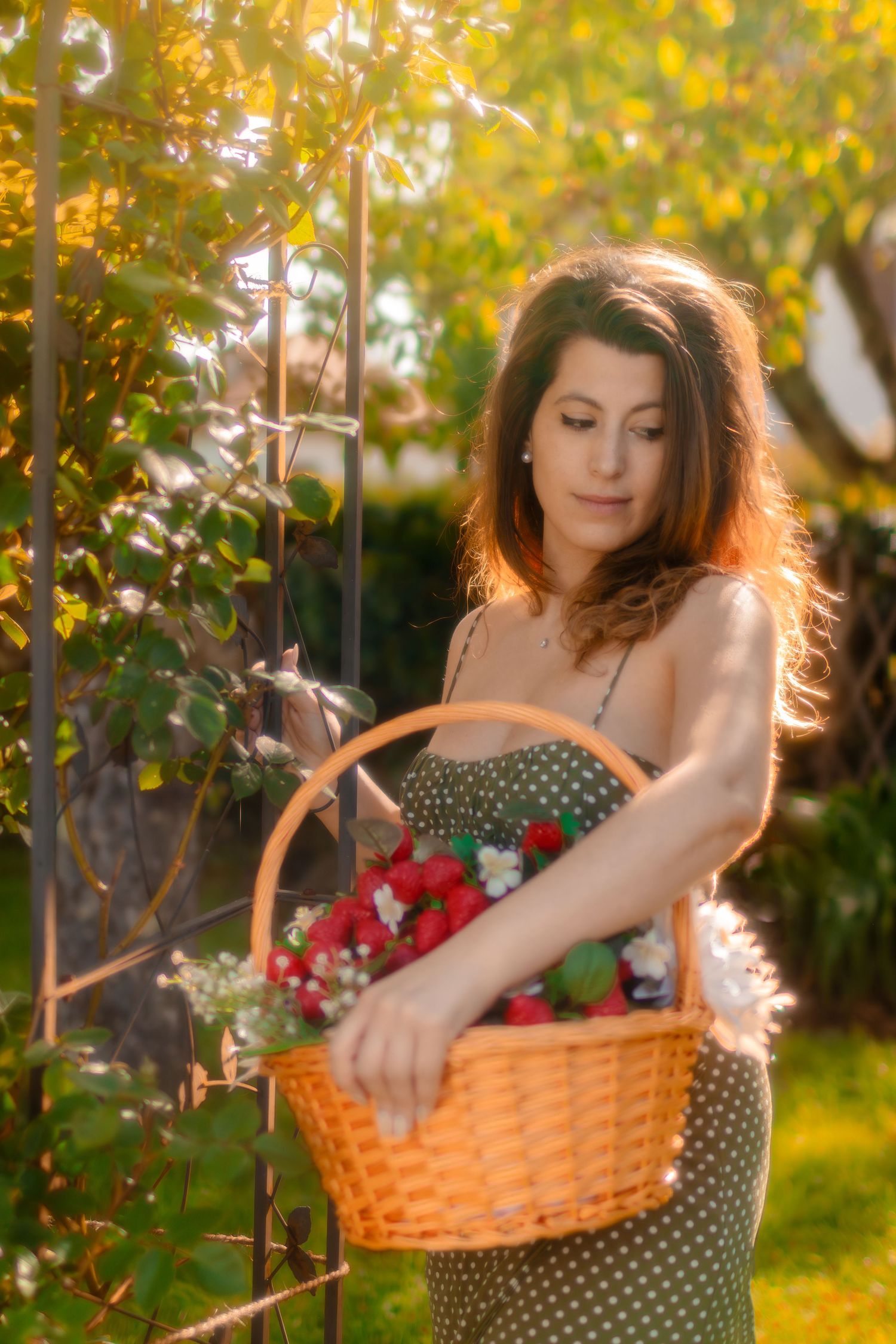 aliena photographie