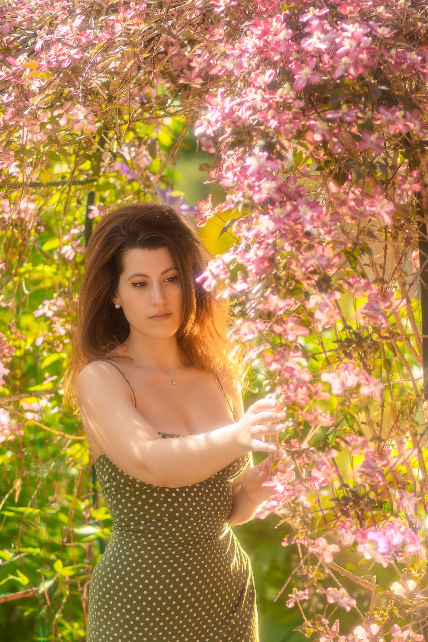 aliena photographie