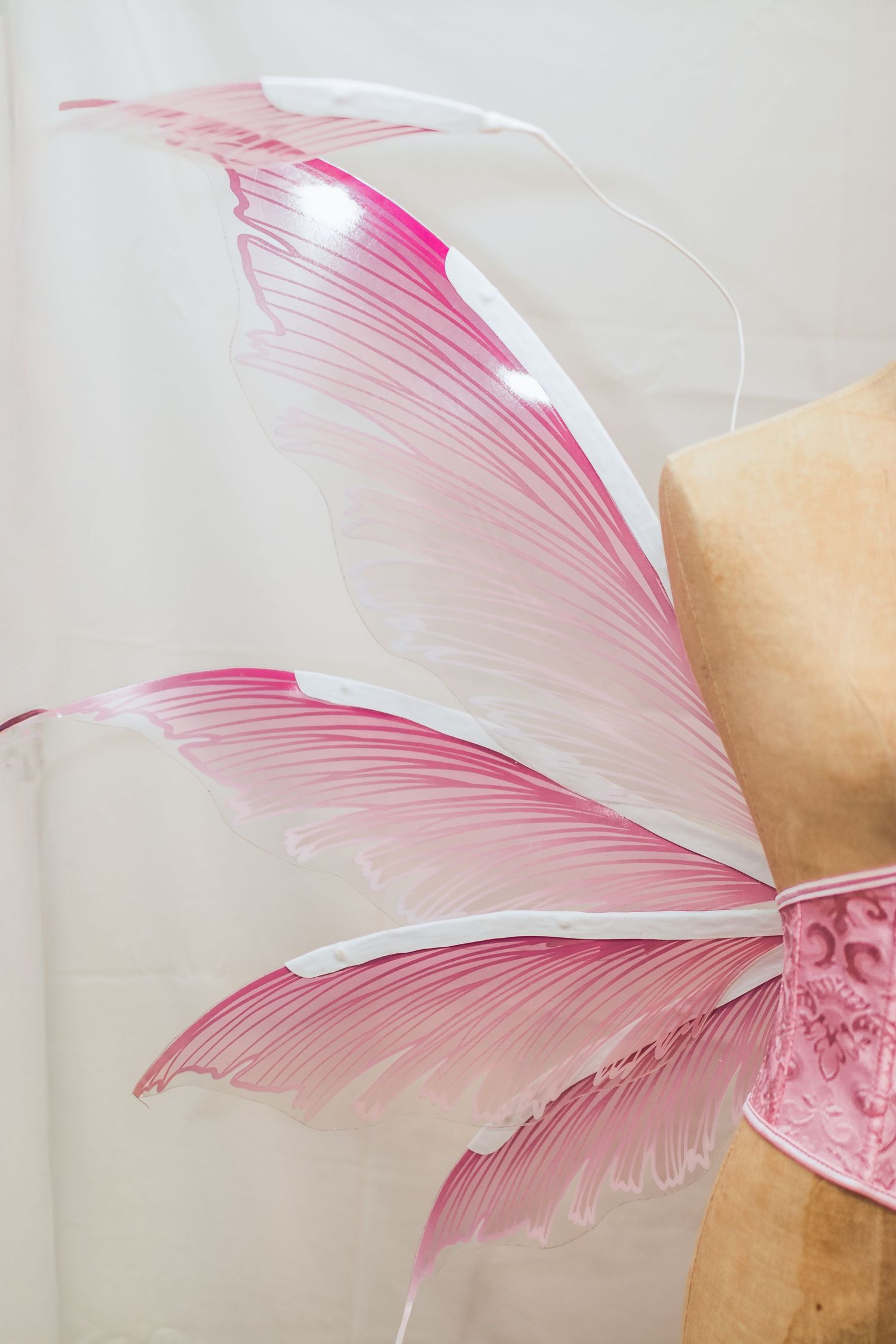 Les Ailes de l'Aurore Rose