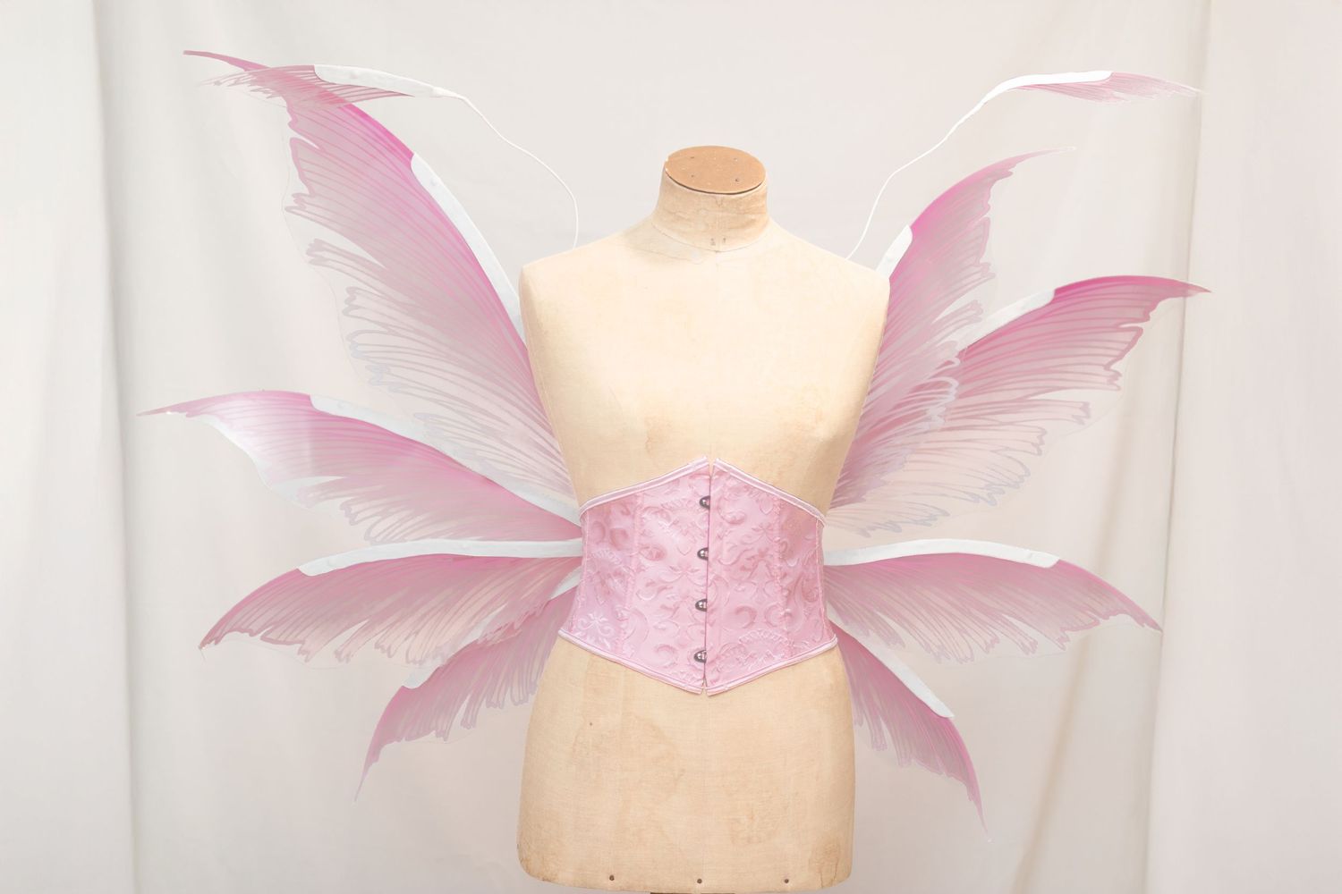 Les Ailes de l'Aurore Rose