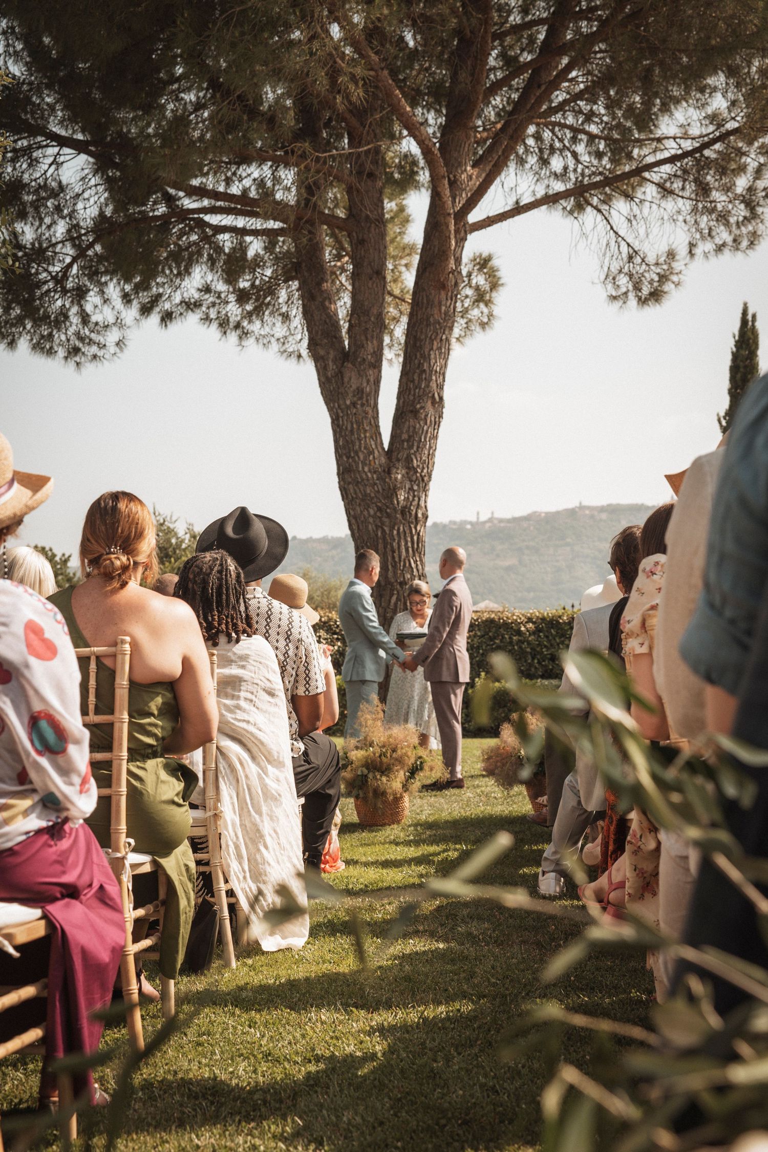 Wedding guests seated outdoors under pine trees during a scenic ceremony in nature.