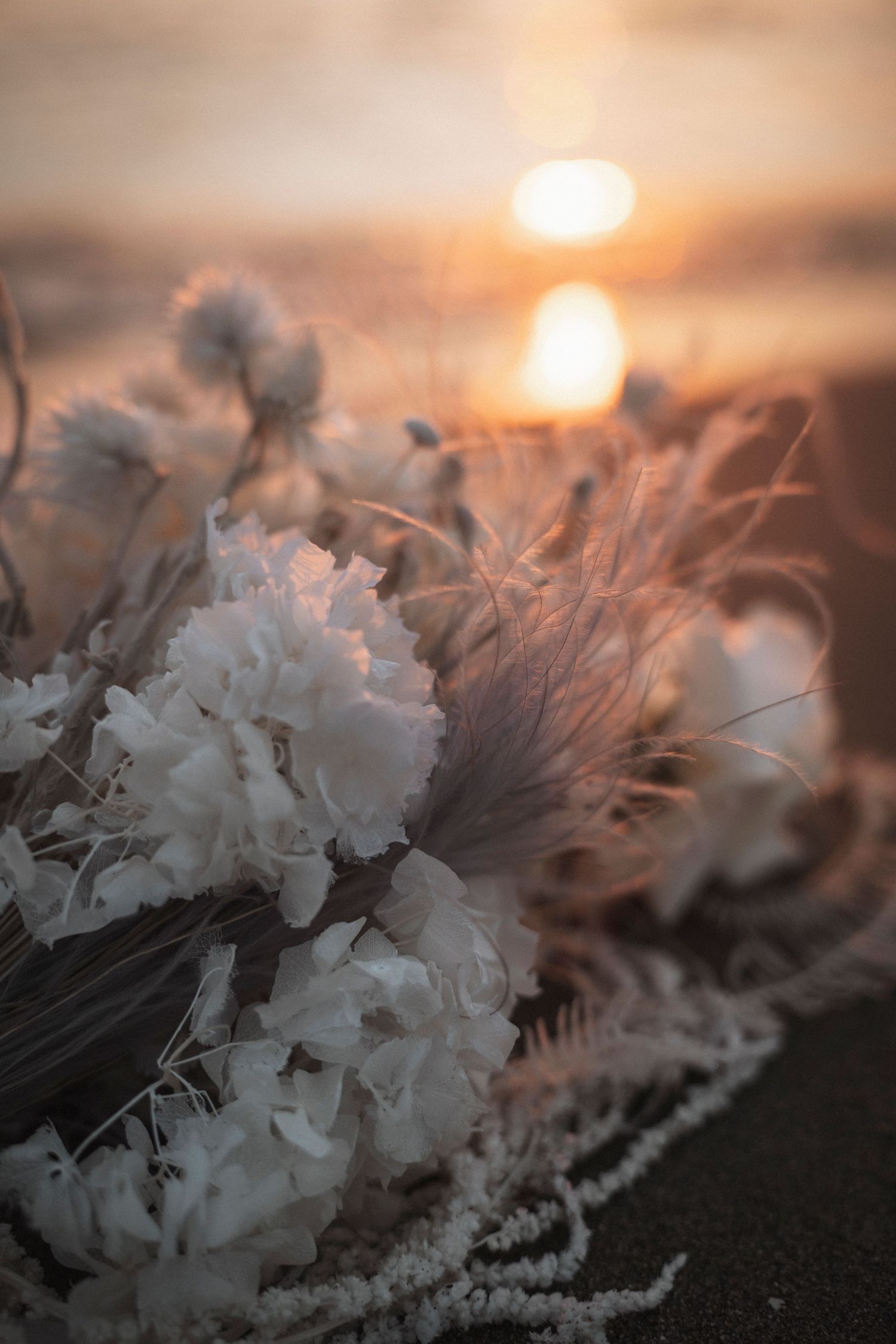 White flowers and dried grasses silhouetted against a golden sunset over water.