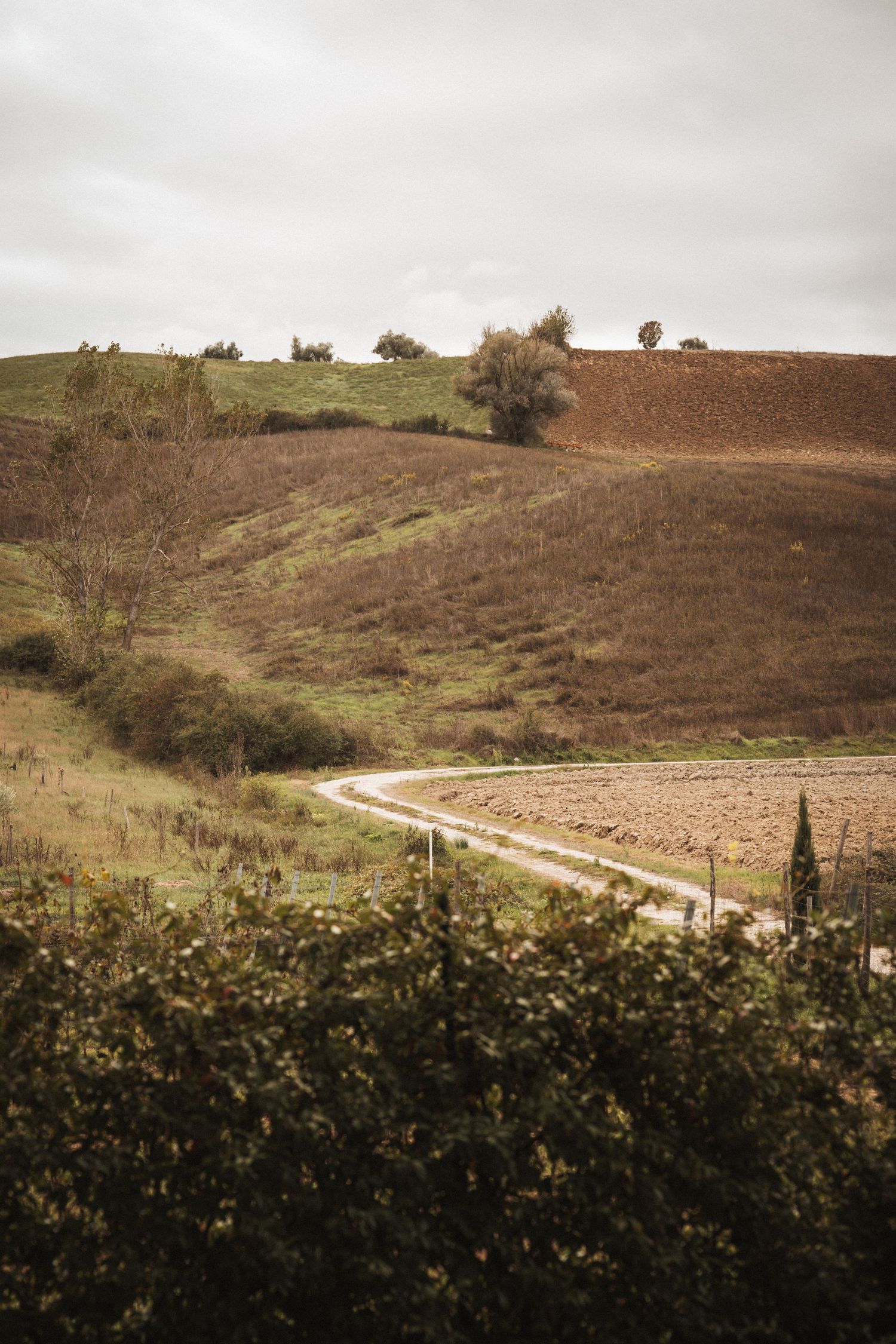 Winding dirt path through rolling hills in countryside landscape.