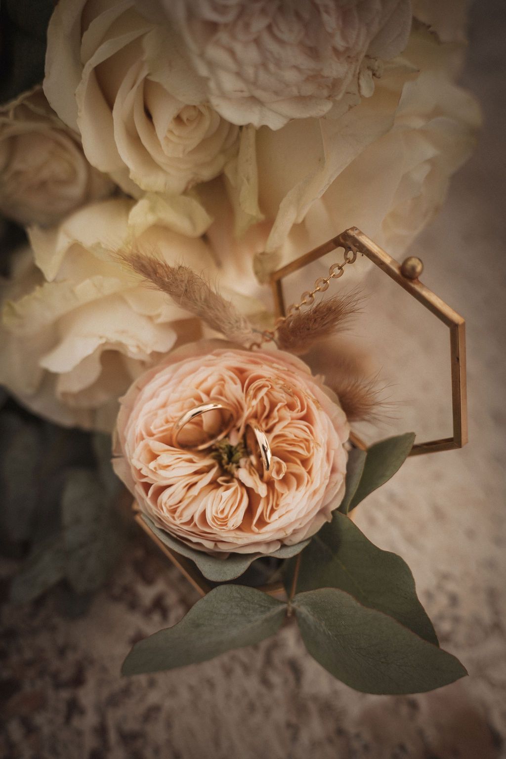 Close-up of a blush garden rose with delicate petals and green foliage in soft focus.